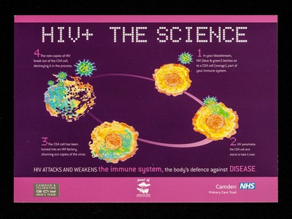 HIV+ : the science : HIV attacks and weakens the immune system, the body's defence against disease / Camden & Islington Gay Men's Team ; illustration by Mark Blann.