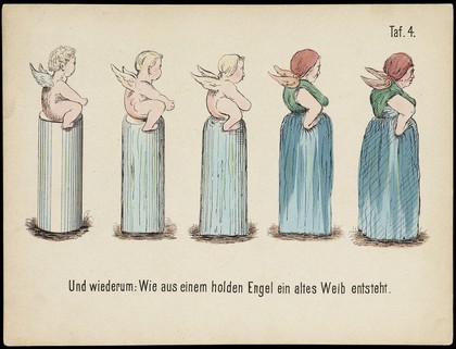 Evolution of household articles, animals etc. according to Darwin's doctrine. Colour lithographs by Fr. Schmidt, ca. 187-(?).