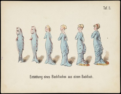 Evolution of household articles, animals etc. according to Darwin's doctrine. Colour lithographs by Fr. Schmidt, ca. 187-(?).