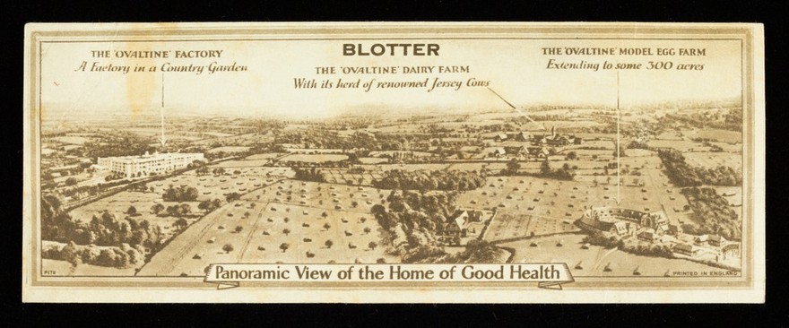 Panoramic view of the home of good health : the 'Ovaltine' factory, a factory in a country garden ... : blotter.