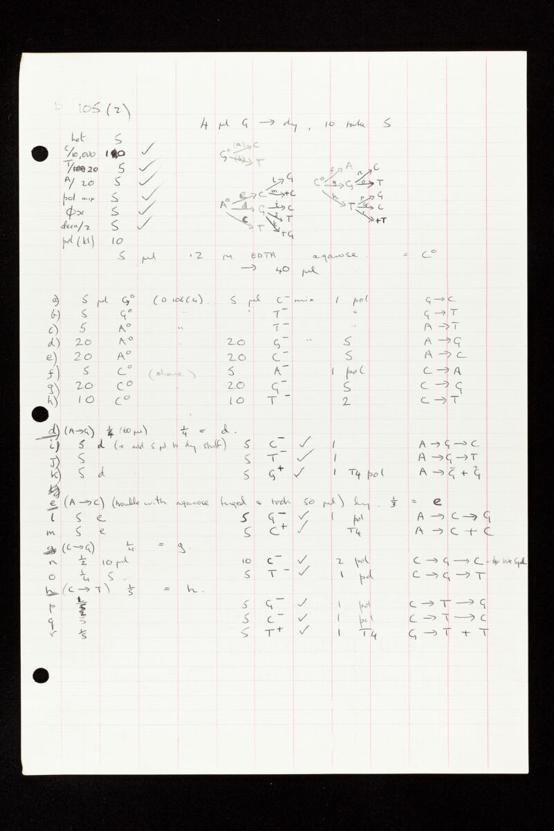 No text description is available for this image