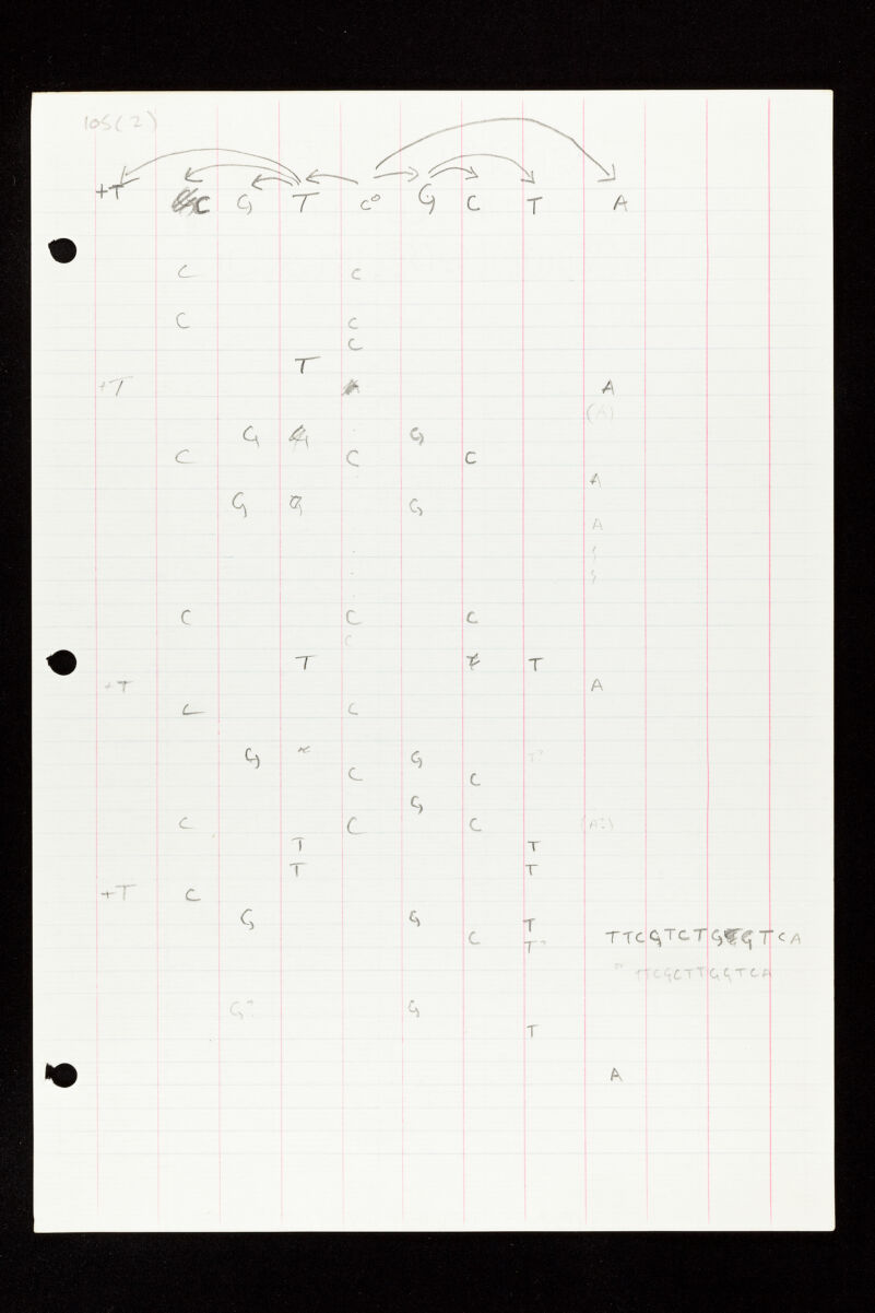 No text description is available for this image