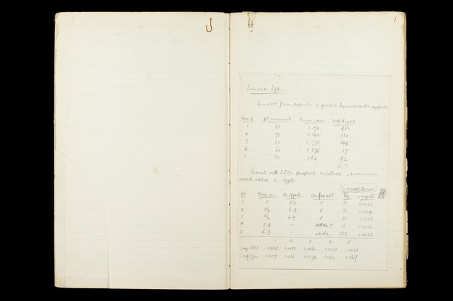 digitised image 3