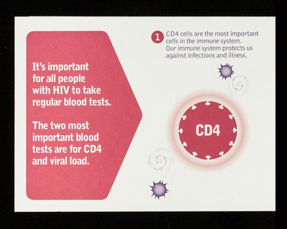 CD4 and viral load / NAM.