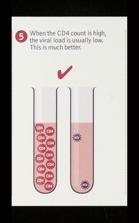 CD4 and viral load / NAM.