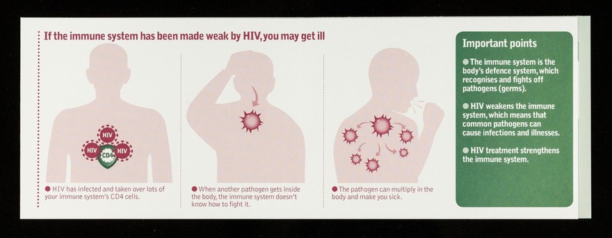 HIV and the immune system / NAM.