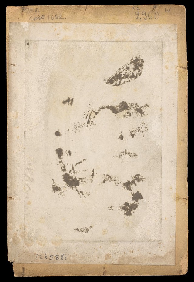 digitised image 3