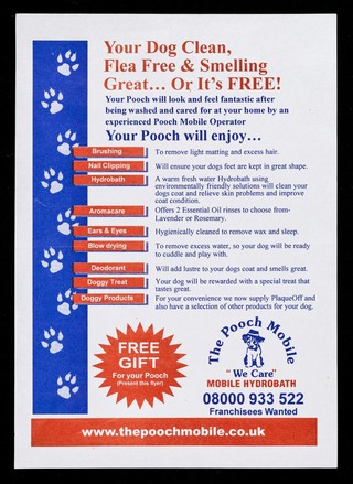 Your dog clean, flea free & smelling great ... or it's FREE! / The Pooch Mobile.