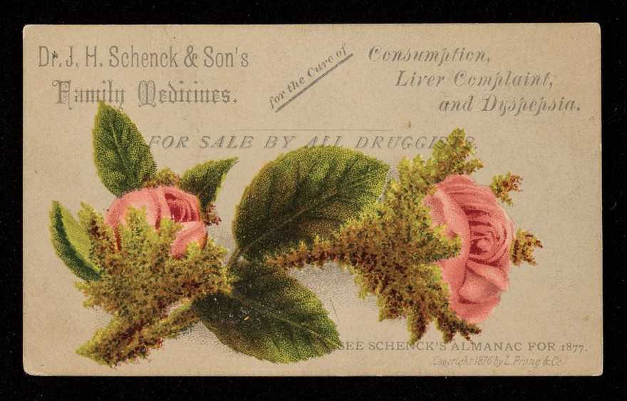 Dr. J.H. Schenck & Son's family medicines for the cure of consumption, liver complaint, and dyspepsia : for sale by all druggists.
