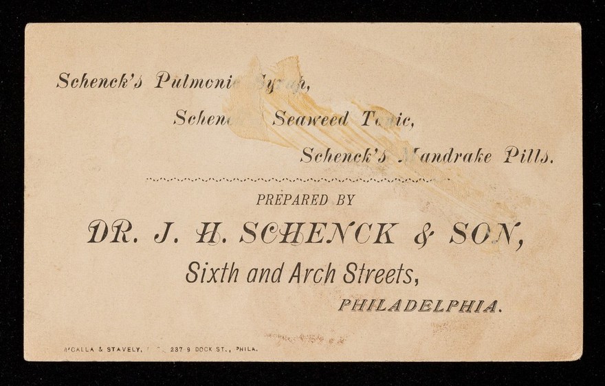 Dr. J.H. Schenck & Son's family medicines for the cure of consumption, liver complaint, and dyspepsia : for sale by all druggists.