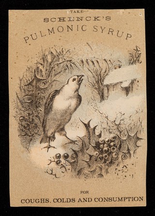 Take Schenck's pulmonic syrup for the coughs, colds and consumption / Dr. J.H. Schenck & Son.