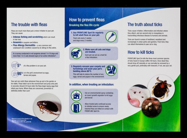 Your guide to protecting your pet against fleas and ticks : Frontline Spot On : protection you both can trust / Merial Animal Health Ltd.