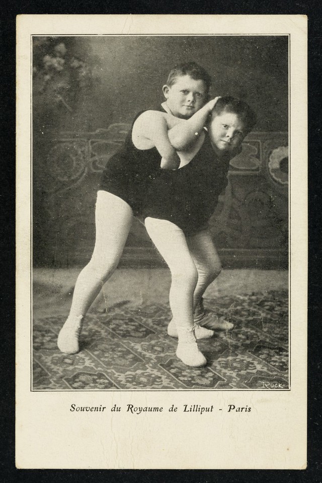 No text description is available for this image