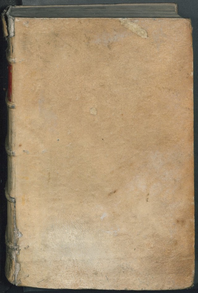 No text description is available for this image