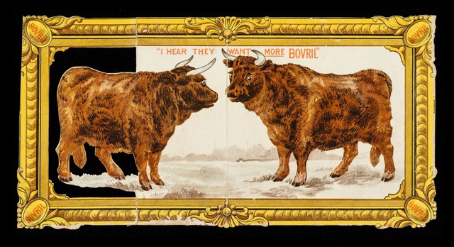 digitised image 1