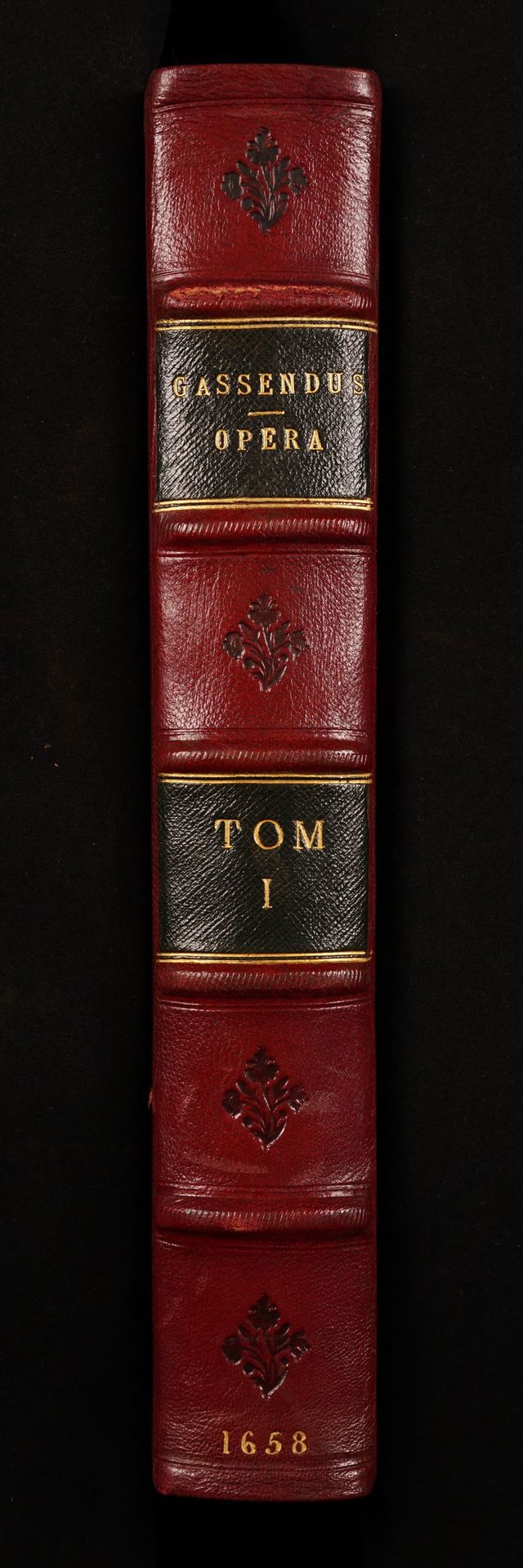 digitised image 2