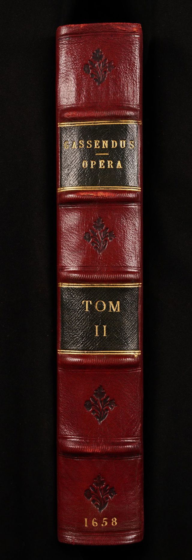 digitised image 2