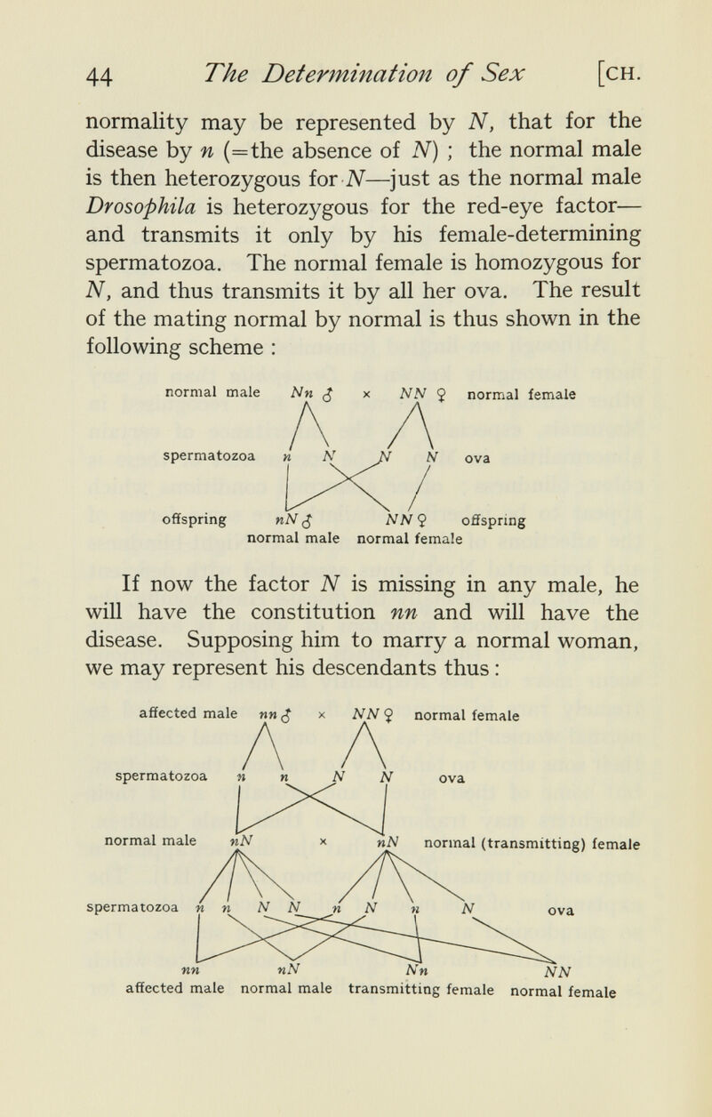 44 The Determination of Sex [ch. normality may be represented by AT, that for the disease by n (=the absence of N) ; the normal male is then heterozygous for iV—just as the normal male Drosophila is heterozygous for the red-eye factor— and transmits it only by his female-determining spermatozoa. The normal female is homozygous for N, and thus transmits it by all her ova. The result of the mating normal by normal is thus shown in the following scheme : normal male Nn x NN Ç normal female If now the factor N is missing in any male, he will have the constitution nn and will have the disease. Supposing him to marry a normal woman, we may represent his descendants thus : affected male ии x NN 9 normal female spermatozoa ova offspring nN ¿ NN 9 offspring normal male normal female spermatozoa normal male spermatozc normal (transmitting) female ova nn nÑ Nn NN affected male normal male transmitting female normal female