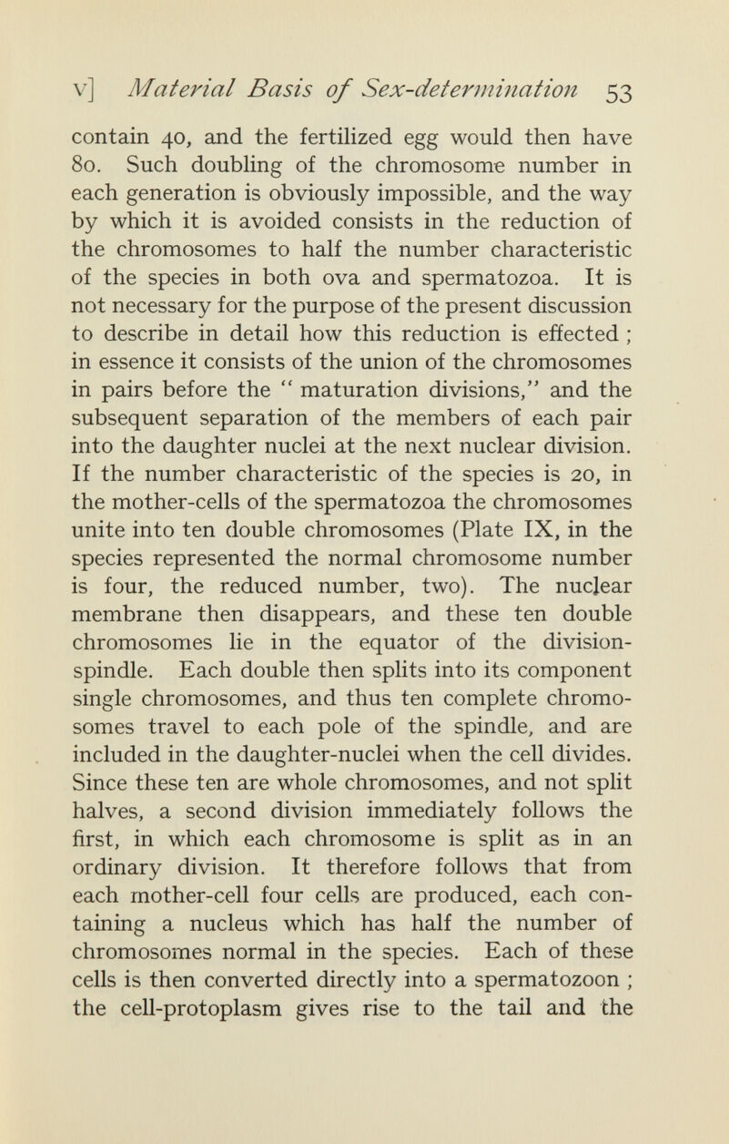 v] Material Basis of Sex-determination 53 contain 40, and the fertilized egg would then have 80. Such doubling of the chromosome number in each generation is obviously impossible, and the way by which it is avoided consists in the reduction of the chromosomes to half the number characteristic of the species in both ova and spermatozoa. It is not necessary for the purpose of the present discussion to describe in detail how this reduction is effected ; in essence it consists of the union of the chromosomes in pairs before the  maturation divisions, and the subsequent separation of the members of each pair into the daughter nuclei at the next nuclear division. If the number characteristic of the species is 20, in the mother-cells of the spermatozoa the chromosomes unite into ten double chromosomes (Plate IX, in the species represented the normal chromosome number is four, the reduced number, two). The nuclear membrane then disappears, and these ten double chromosomes lie in the equator of the division- spindle. Each double then splits into its component single chromosomes, and thus ten complete chromo¬ somes travel to each pole of the spindle, and are included in the daughter-nuclei when the cell divides. Since these ten are whole chromosomes, and not split halves, a second division immediately follows the first, in which each chromosome is split as in an ordinary division. It therefore follows that from each mother-cell four cells are produced, each con¬ taining a nucleus which has half the number of chromosomes normal in the species. Each of these cells is then converted directly into a spermatozoon ; the ceU-protoplasm gives rise to the tail and the