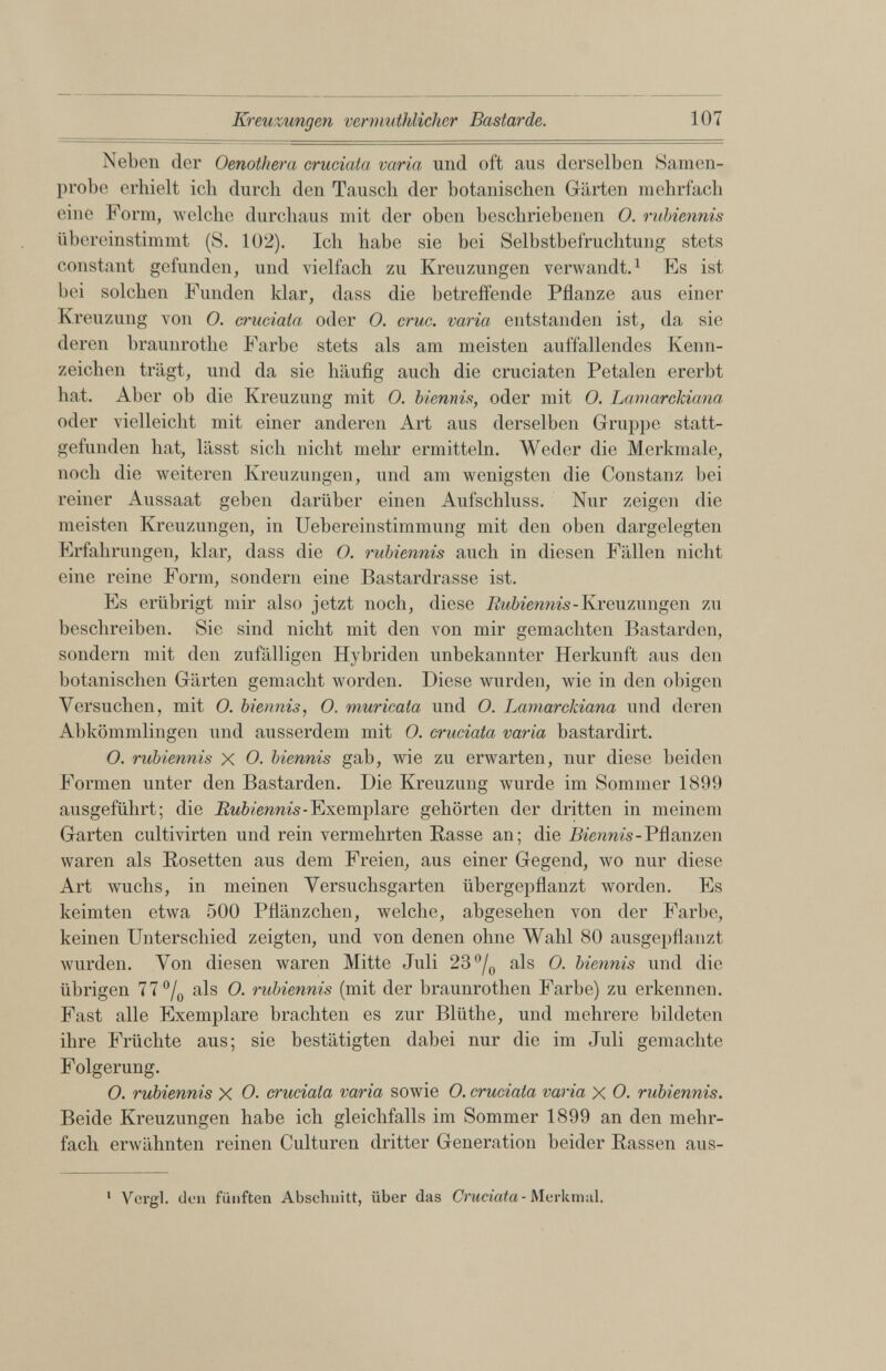 Neben der Oenothera cruciata varia und oft aus derselben Samen probe erhielt ich durch den Tausch der botanischen Gärten mehrfach eine Form, welche durchaus mit der oben beschriebenen O. rubiennis übereinstimmt (S. 102). Ich habe sie bei Selbstbefruchtung stets constant gefunden, und vielfach zu Kreuzungen verwandt. 1 Fs ist bei solchen Funden klar, dass die betreffende Pflanze aus einer Kreuzung von O. cruciata oder O. cruc. varia entstanden ist, da sie deren braunrothe Farbe stets als am meisten auffallendes Kenn zeichen trägt, und da sie häufig auch die cruciaten Petalen ererbt bat. Aber ob die Kreuzung mit O. biennis, oder mit O. Lamarckiana oder vielleicht mit einer anderen Art aus derselben Gruppe statt gefunden hat, lässt sich nicht mehr ermitteln. Weder die Merkmale, noch die weiteren Kreuzungen, und am wenigsten die Constanz bei reiner Aussaat geben darüber einen Aufschluss. Nur zeigen die meisten Kreuzungen, in Uebereinstimmung mit den oben dargelegten Erfahrungen, klar, dass die O. rubiennis auch in diesen Fällen nicht eine reine Form, sondern eine Bastardrasse ist. Es erübrigt mir also jetzt noch, diese Rubiennis -Kreuzungen zu beschreiben. Sie sind nicht mit den von mir gemachten Bastarden, sondern mit den zufälligen Hybriden unbekannter Herkunft aus den botanischen Gärten gemacht worden. Diese wurden, wie in den obigen Versuchen, mit 0. biennis , O. muricaia und O. Lamarckiana und deren Abkömmlingen und ausserdem mit O. cruciata varia bastardirt. O. rubiennis x O. biennis gab, wie zu erwarten, nur diese beiden Formen unter den Bastarden. Die Kreuzung wurde im Sommer 1899 ausgeführt; die Rubiennis - Exemplare gehörten der dritten in meinem Garten cultivirten und rein vermehrten Rasse an; die Biennis - Pflanzen waren als Rosetten aus dem Freien, aus einer Gegend, wo nur diese Art wuchs, in meinen Versuchsgarten übergepflanzt worden. Es keimten etwa 500 Pflänzchen, welche, abgesehen von der Farbe, keinen Unterschied zeigten, und von denen ohne Wahl 80 ausgepflanzt wurden. Von diesen waren Mitte Juli 23°/ 0 als O. biennis und die übrigen 77 °/ 0 als O. rubiennis (mit der braunrothen Farbe) zu erkennen. Fast alle Exemplare brachten es zur Bllithe, und mehrere bildeten ihre Früchte aus; sie bestätigten dabei nur die im Juli gemachte Folgerung. O. rubiennis X O. cruciata varia sowie O. cruciata varia X O. rubiennis. Beide Kreuzungen habe ich gleichfalls im Sommer 1899 an den mehr fach erwähnten reinen Culturen dritter Generation beider Rassen aus- 1 Vergi, den fünften Abschnitt, über das Cruciata- Merkmal.