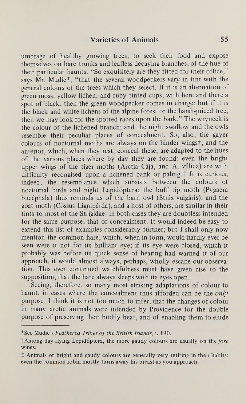 Varieties of Animals 55 umbrage of healthy growing trees, to seek their food and expose themselves on bare trunks and leafless decaying branches, of the hue of their particular haunts. So exquisitely are they fitted for their office, says Mr. Mudie*, that the several woodpeckers vary in tint with the general colours of the trees which they select. If it is an alternation of green moss, yellow lichen, and ruby tinted cups, with here and there a spot of black, then the green woodpecker comes in charge; but if it is the black and white hchens of the alpine forest or the harsh-juiced tree, then we may look for the spotted races upon the bark. The wryneck is the colour of the hchened branch; and the night swallow and the owls resemble their peculiar places of concealment. So, also, the gayer colours of nocturnal moths are always on the hinder wingsf, and the anterior, which, when they rest, conceal these, are adapted to the hues of the various places where by day they are found; even the bright upper wings of the tiger moths (Arctia Càja, and A. vñlica) are with difficulty recongised upon a hchened bank or pahng.i It is curious, indeed, the resemblance which subsists between the colours of nocturnal birds and night Lepidóptera; the buff tip moth (Pygaera bucéphala) thus reminds us of the barn owl (Strix vulgaris); and the goat moth (Cossus Lignipérda), and a host of others, are similar in their tints to most of the Strigidae: in both cases they are doubtless intended for the same purpose, that of concealment. It would indeed be easy to extend this hst of examples considerably further; but I shall only now mention the common hare, which, when in form, would hardly ever be seen were it not for its brilliant eye; if its eye were closed, which it probably was before its quick sense of hearing had warned it of our approach, it would almost always, perhaps, wholly escape our observa¬ tion. This ever continued watchfulness must have given rise to the supposition, that the hare always sleeps with its eyes open. Seeing, therefore, so many most striking adaptations of colour to haunt, in cases where the concealment thus afforded can be the only purpose, I think it is not too much to infer, that the changes of colour in many arctic animals were intended by Providence for the double purpose of preserving their bodily heat, and of enabling them to elude *See Mudie's Feathered Tribes of the British Islands, i. 190. f Among day-flying Lepidóptera, the more gaudy colours are usually on the/ore wings. X Animals of bright and gaudy colours are generally very retiring in their habits: even the common robin mostly turns away his breast as you approach.