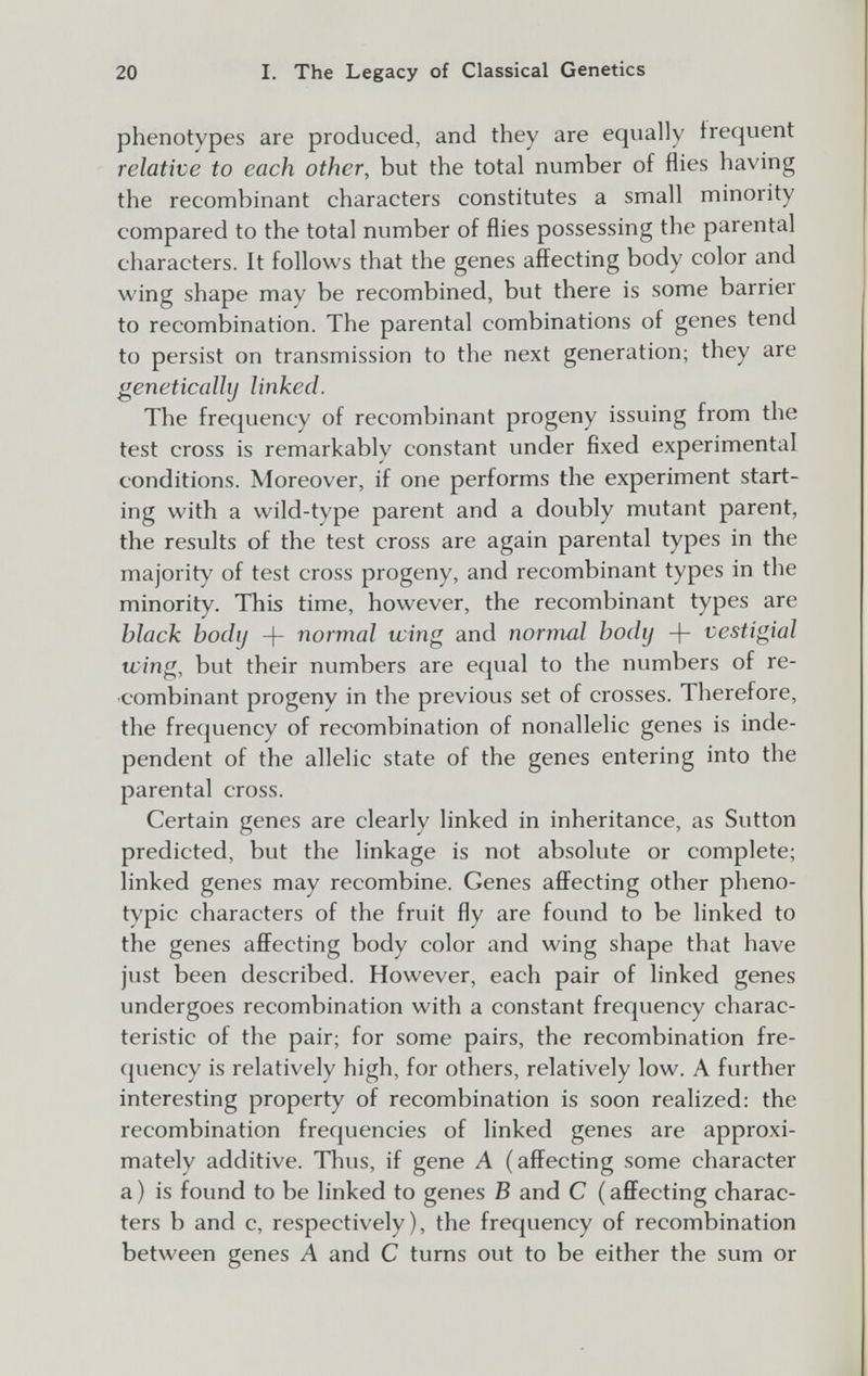20 I. The Legacy of Classical Genetics phenotypes are produced, and they are equally frequent relative to each other, but the total number of flies having the recombinant characters constitutes a small minority compared to the total number of flies possessing the parental characters. It follows that the genes affecting body color and wing shape may be recombined, but there is some barrier to recombination. The parental combinations of genes tend to persist on transmission to the next generation; they are geneticalhj linked. The frecjuency of recombinant progeny issuing from the test cross is remarkably constant under fixed experimental conditions. Moreover, if one performs the experiment start¬ ing with a wild-type parent and a doubly mutant parent, the results of the test cross are again parental types in the majority of test cross progeny, and recombinant types in the minority. This time, however, the recombinant types are black body -)- normal wing and normal body + vestigial wing, but their numbers are equal to the numbers of re- ■combinant progeny in the previous set of crosses. Therefore, the frequency of recombination of nonallelic genes is inde¬ pendent of the allelic state of the genes entering into the parental cross. Certain genes are clearly linked in inheritance, as Sutton predicted, but the linkage is not absolute or complete; linked genes may recombine. Genes affecting other pheno- typic characters of the fruit fly are found to be linked to the genes affecting body color and wing shape that have just been described. However, each pair of linked genes undergoes recombination with a constant frequency charac¬ teristic of the pair; for some pairs, the recombination fre¬ quency is relatively high, for others, relatively low. A further interesting property of recombination is soon realized: the recombination frequencies of linked genes are approxi¬ mately additive. Thus, if gene A (affecting some character a) is found to be linked to genes В and С (affecting charac¬ ters b and c, respectively), the frequency of recombination between genes A and С turns out to be either the sum or