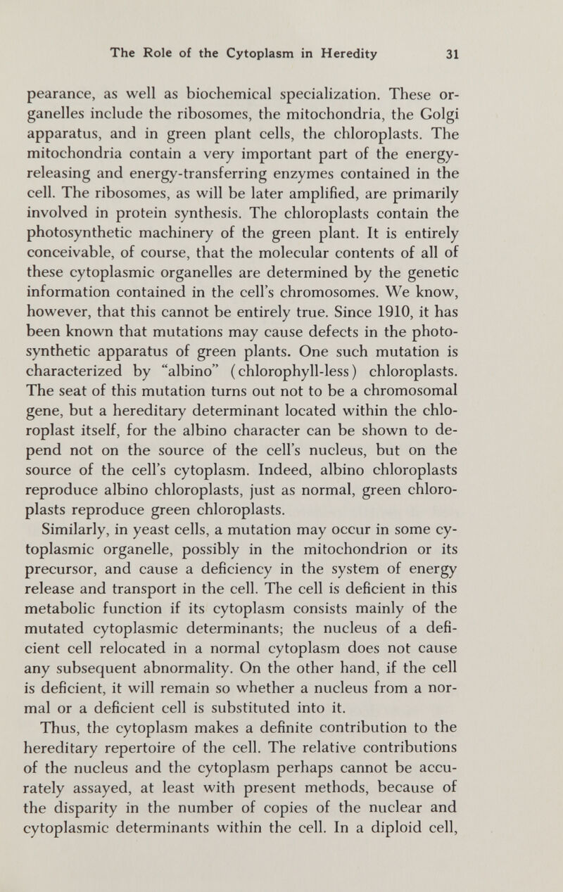 The Role of the Cytoplasm in Heredity 31 pearance, as well as biochemical specialization. These or¬ ganelles include the ribosomes, the mitochondria, the Golgi apparatus, and in green plant cells, the chloroplasts. The mitochondria contain a very important part of the energy- releasing and energy-transferring enzymes contained in the cell. The ribosomes, as will be later amplified, are primarily involved in protein synthesis. The chloroplasts contain the photosynthetic machinery of the green plant. It is entirely conceivable, of course, that the molecular contents of all of these cytoplasmic organelles are determined by the genetic information contained in the cell's chromosomes. We know, however, that this cannot be entirely true. Since 1910, it has been known that mutations may cause defects in the photo- synthetic apparatus of green plants. One such mutation is characterized by albino (chlorophyll-less) chloroplasts. The seat of this mutation turns out not to be a chromosomal gene, but a hereditary determinant located within the chlo- roplast itself, for the albino character can be shown to de¬ pend not on the source of the cell's nucleus, but on the source of the cell's cytoplasm. Indeed, albino chloroplasts reproduce albino chloroplasts, just as normal, green chloro¬ plasts reproduce green chloroplasts. Similarly, in yeast cells, a mutation may occur in some cy¬ toplasmic organelle, possibly in the mitochondrion or its precursor, and cause a deficiency in the system of energy release and transport in the cell. The cell is deficient in this metabolic function if its cytoplasm consists mainly of the mutated cytoplasmic determinants; the nucleus of a defi¬ cient cell relocated in a normal cytoplasm does not cause any subsequent abnormality. On the other hand, if the cell is deficient, it will remain so whether a nucleus from a nor¬ mal or a deficient cell is substituted into it. Thus, the cytoplasm makes a definite contribution to the hereditary repertoire of the cell. The relative contributions of the nucleus and the cytoplasm perhaps cannot be accu¬ rately assayed, at least with present methods, because of the disparity in the number of copies of the nuclear and cytoplasmic determinants within the cell. In a diploid cell.