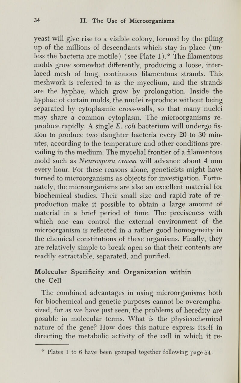 34 II. The Use of Microorganisms yeast will give rise to a visible colony, formed by the piling up of the millions of descendants which stay in place (un¬ less the bacteria are motile) (see Plate 1). The filamentous molds grow somewhat differently, producing a loose, inter¬ laced mesh of long, continuous filamentous strands. This meshwork is referred to as the mycelium, and the strands are the hyphae, which grow by prolongation. Inside the hyphae of certain molds, the nuclei reproduce without being separated by cytoplasmic cross-walls, so that many nuclei may share a common cytoplasm. The microorganisms re¬ produce rapidly. A single E. coli bacterium will undergo fis¬ sion to produce two daughter bacteria every 20 to 30 min¬ utes, according to the temperature and other conditions pre¬ vailing in the medium. The mycelial frontier of a filamentous mold such as Neurospora crassa will advance about 4 mm every hour. For these reasons alone, geneticists might have turned to microorganisms as objects for investigation. Fortu¬ nately, the microorganisms are also an excellent material for biochemical studies. Their small size and rapid rate of re¬ production make it possible to obtain a large amount of material in a brief period of time. The preciseness with which one can control the external environment of the microorganism is reflected in a rather good homogeneity in the chemical constitutions of these organisms. Finally, they are relatively simple to break open so that their contents are readily extractable, separated, and purified. Molecular Specificity and Organization within the Cell The combined advantages in using microorganisms both for biochemical and genetic purposes cannot be overempha¬ sized, for as we have just seen, the problems of heredity are posable in molecular terms. What is the physicochemical nature of the gene? How does this nature express itself in directing the metabolic activity of the cell in which it re- ® Plates 1 to 6 have been grouped together following page 54.
