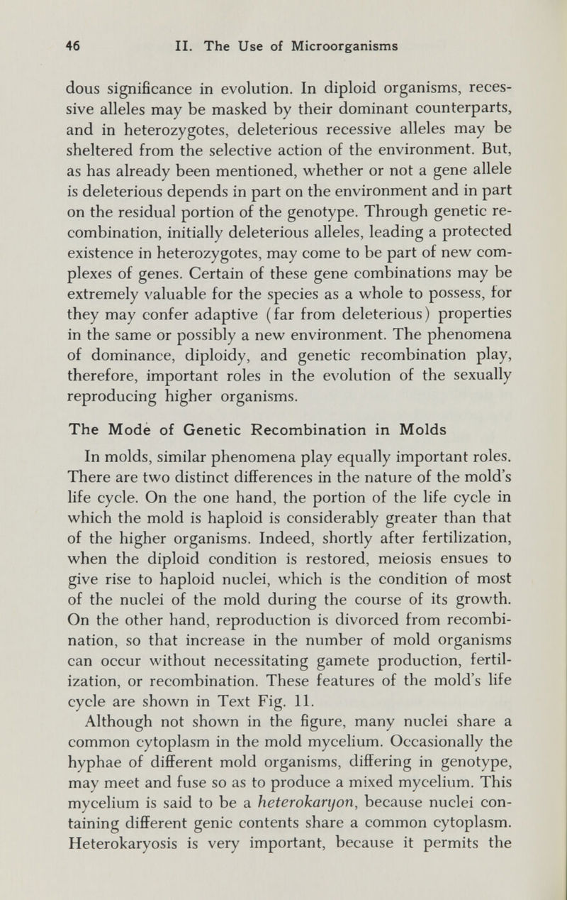 46 II. The Use of Microorganisms dous significance in evolution. In diploid organisms, reces¬ sive alleles may be masked by their dominant counterparts, and in heterozygotes, deleterious recessive alleles may be sheltered from the selective action of the environment. But, as has already been mentioned, whether or not a gene allele is deleterious depends in part on the environment and in part on the residual portion of the genotype. Through genetic re¬ combination, initially deleterious alleles, leading a protected existence in heterozygotes, may come to be part of new com¬ plexes of genes. Certain of these gene combinations may be extremely valuable for the species as a whole to possess, tor they may confer adaptive (far from deleterious) properties in the same or possibly a new environment. The phenomena of dominance, diploidy, and genetic recombination play, therefore, important roles in the evolution of the sexually reproducing higher organisms. The Mode of Genetic Recombination in Molds In molds, similar phenomena play equally important roles. There are two distinct differences in the nature of the mold's life cycle. On the one hand, the portion of the life cycle in which the mold is haploid is considerably greater than that of the higher organisms. Indeed, shortly after fertilization, when the diploid condition is restored, meiosis ensues to give rise to haploid nuclei, which is the condition of most of the nuclei of the mold during the course of its growth. On the other hand, reproduction is divorced from recombi¬ nation, so that increase in the number of mold organisms can occur without necessitating gamete production, fertil¬ ization, or recombination. These features of the mold's life cycle are shown in Text Fig. 11. Although not shown in the figure, many nuclei share a common cytoplasm in the mold mycelium. Occasionally the hyphae of different mold organisms, differing in genotype, may meet and fuse so as to produce a mixed mycelium. This mycelium is said to be a heterokanjon, because nuclei con¬ taining different genie contents share a common cytoplasm. Heterokaryosis is very important, because it permits the