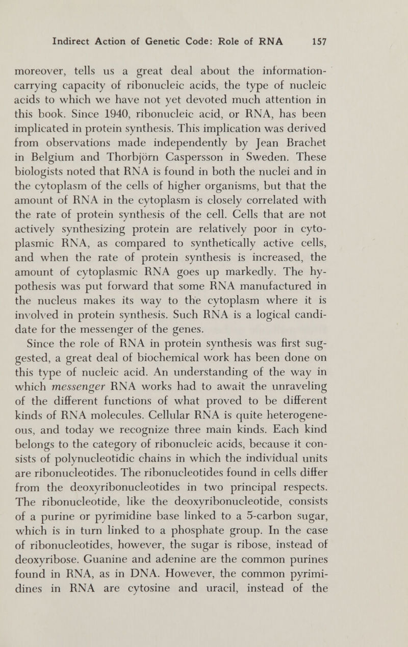 Indirect Action of Genetic Code: Role of RNA 157 moreover, tells us a great deal about the information- carrying capacity of ribonucleic acids, the type of nucleic acids to which we have not yet devoted much attention in this book. Since 1940, ribonucleic acid, or RNA, has been implicated in protein synthesis. This implication was derived from observations made independently by Jean Brächet in Belgium and Thorbjörn Caspersson in Sweden. These biologists noted that RNA is found in both the nuclei and in the cytoplasm of the cells of higher organisms, but that the amount of RNA in the cytoplasm is closely correlated with the rate of protein synthesis of the cell. Cells that are not actively synthesizing protein are relatively poor in cyto¬ plasmic RNA, as compared to synthetically active cells, and when the rate of protein synthesis is increased, the amount of cytoplasmic RNA goes up markedly. The hy¬ pothesis was put forward that some RNA manufactured in the nucleus makes its way to the cytoplasm where it is inx'olved in protein synthesis. Such RNA is a logical candi¬ date for the messenger of the genes. Since the role of RNA in protein synthesis was first sug¬ gested, a great deal of biochemical work has been done on this type of nucleic acid. An understanding of the way in which messenger RNA works had to await the unraveling of the different functions of what proved to be different kinds of RNA molecules. Cellular RNA is quite heterogene¬ ous, and today we recognize three main kinds. Each kind belongs to the category of ribonucleic acids, because it con¬ sists of polynucleotidic chains in which the individual units are ribonucleotides. The ribonucleotides found in cells differ from the deoxyribonucleotides in two principal respects. The ribonucleotide, like the deoxyribonucleotide, consists of a purine or pyrimidine base linked to a 5-carbon sugar, which is in turn linked to a phosphate group. In the case of ribonucleotides, however, the sugar is ribose, instead of deoxyribose. Guanine and adenine are the common purines found in RNA, as in DNA. However, the common pyrimi- dines in RNA are cytosine and uracil, instead of the