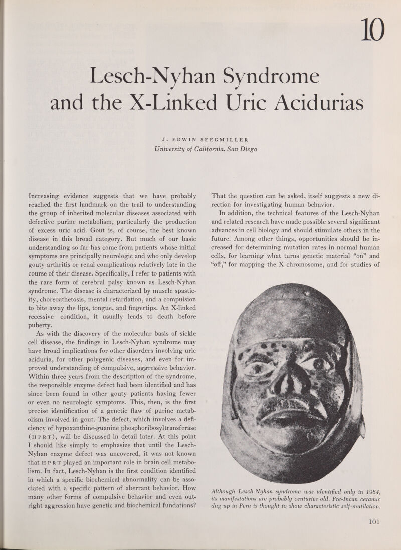 10 Lesch-Nyhan Syndrome and the X-Linked Uric Acidurias i. j. edwin seegmiller University of California, San Diego Increasing evidence suggests that we have probably reached the first landmark on the trail to understanding the group of inherited molecular diseases associated w^ith defective purine metabolism, particularly the production of excess uric acid. Gout is, of course, the best known disease in this broad category. But much of our basic understanding so far has come from patients whose initial symptoms are principally neurologic and who only develop gouty arthritis or renal complications relatively late in the course of their disease. Specifically, I refer to patients with the rare form of cerebral palsy known as Lesch-Nyhan syndrome. The disease is characterized by muscle spastic¬ ity, choreoathetosis, mental retardation, and a compulsion to bite away the lips, tongue, and fingertips. An X-linked recessive condition, it usually leads to death before puberty. As with the discovery of the molecular basis of sickle cell disease, the findings in Lesch-Nyhan syndrome may have broad implications for other disorders involving uric aciduria, for other polygenic diseases, and even for im¬ proved understanding of compulsive, aggressive behavior. Within three years from the description of the syndrome, the responsible enzyme defect had been identified and has since been found in other gouty patients having fewer or even no neurologic symptoms. This, then, is the first precise identification of a genetic ñaw of purine metab¬ olism involved in gout. The defect, which involves a defi¬ ciency of hypoxanthine-guanine phosphoribosyltransferase (hprt), will be discussed in detail later. At this point I should like simply to emphasize that until the Lesch- Nyhan enzyme defect was uncovered, it was not known that hprt played an important role in brain cell metabo¬ lism. In fact, Lesch-Nyhan is the first condition identified in which a specific biochemical abnormality can be asso¬ ciated with a specific pattern of aberrant behavior. How many other forms of compulsive behavior and even out¬ right aggression have genetic and biochemical fundations? That the question can be asked, itself suggests a new di¬ rection for investigating human behavior. In addition, the technical features of the Lesch-Nyhan and related research have made possible several significant advances in cell biology and should stimulate others in the future. Among other things, opportunities should be in¬ creased for determining mutation rates in normal human cells, for learning what turns genetic material on and ofl^, for mapping the X chromosome, and for studies of Although Lesch-Nyhan syndrome was identified only in 1964, its manifestations are probably centuries old. Pre-Incan ceramic dug up in Peru is thought to show characteristic self-mutilation. 101