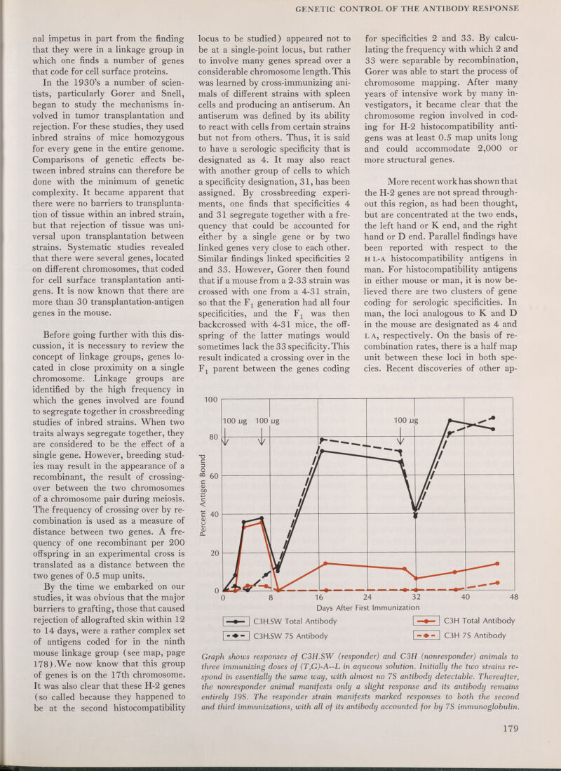 GENETIC CONTROL OF THE ANTIBODY RESPONSE nal impetus in part from the finding that they were in a linkage group in which one finds a number of genes that code for cell surface proteins. In the 1930's a number of scien¬ tists, particularly Gorer and Snell, began to study the mechanisms in¬ volved in tumor transplantation and rejection. For these studies, they used inbred strains of mice homozygous for every gene in the entire genome. Comparisons of genetic effects be¬ tween inbred strains can therefore be done with the minimum of genetic complexity. It became apparent that there were no barriers to transplanta¬ tion of tissue within an inbred strain, but that rejection of tissue was uni¬ versal upon transplantation between strains. Systematic studies revealed that there were several genes, located on different chromosomes, that coded for cell surface transplantation anti¬ gens. It is now known that there are more than 30 transplantation-antigen genes in the mouse. Before going further vñth this dis¬ cussion, it is necessary to review the concept of linkage groups, genes lo¬ cated in close proximity on a single chromosome. Linkage groups are identified by the high frequency in which the genes involved are found to segregate together in crossbreeding studies of inbred strains. When two traits always segregate together, they are considered to be the effect of a single gene. However, breeding stud¬ ies may result in the appearance of a recombinant, the result of crossing- over between the two chromosomes of a chromosome pair during meiosis. The frequency of crossing over by re¬ combination is used as a measure of distance between two genes. A fre¬ quency of one recombinant per 200 offspring in an experimental cross is translated as a distance between the two genes of 0.5 map units. By the time we embarked on our studies, it was obvious that the major barriers to grafting, those that caused rejection of allografted skin within 12 to 14 days, were a rather complex set of antigens coded for in the ninth mouse linkage group (see map, page 178).We now know that this group of genes is on the 17th chromosome. It was also clear that these H-2 genes (so called because they happened to be at the second histocompatibility locus to be studied) appeared not to be at a single-point locus, but rather to involve many genes spread over a considerable chromosome length. This was learned by cross-immunizing ani¬ mals of different strains with spleen cells and producing an antiserum. An antiserum was defined by its ability to react with cells from certain strains but not from others. Thus, it is said to have a serologic specificity that is designated as 4. It may also react with another group of cells to which a specificity designation, 31, has been assigned. By crossbreeding experi¬ ments, one finds that specificities 4 and 31 segregate together with a fre¬ quency that could be accounted for either by a single gene or by two linked genes very close to each other. Similar findings linked specificities 2 and 33. However, Gorer then found that if a mouse from a 2-33 strain was crossed with one from a 4-31 strain, so that the generation had all four specificities, and the F^ was then backcrossed with 4-31 mice, the off¬ spring of the latter matings would sometimes lack the 33 specificity.This result indicated a crossing over in the Fj^ parent between the genes coding for specificities 2 and 33. By calcu¬ lating the frequency with which 2 and 33 were separable by recombination, Gorer was able to start the process of chromosome mapping. After many years of intensive work by many in¬ vestigators, it became clear that the chromosome region involved in cod¬ ing for H-2 histocompatibility anti¬ gens was at least 0.5 map units long and could accommodate 2,000 or more structural genes. More recent work has shown that the H-2 genes are not spread through¬ out this region, as had been thought, but are concentrated at the two ends, the left hand or К end, and the right hand or D end. Parallel findings have been reported with respect to the H L-A histocompatibility antigens in man. For histocompatibility antigens in either mouse or man, it is now be¬ lieved there are two clusters of gene coding for serologic specificities. In man, the loci analogous to К and D in the mouse are designated as 4 and LA, respectively. On the basis of re¬ combination rates, there is a half map unit between these loci in both spe¬ cies. Recent discoveries of other ap- 1010 80 T3 с Э о 60 с < 40 20 8 16 24 32 Days After First Immunization C3H.SW Total Antibody C3H.SW 7S Antibody E] 40 48 C3H Total Antibody C3H 75 Antibody Graph shows responses of C3H.SW (responder) and C3H (nonresponder) animals to three immunizing doses of (T,G)-A—L in aqueous solution. Initially the two strains re¬ spond in essentially the same way, with almost no 7S antibody detectable. Thereafter, the nonresponder animal manifests only a slight response and its antibody remains entirely 19S. The responder strain manifests marked responses to both the second and third immunizations, with all of its antibody accounted for by 7S immunoglobulin. 179