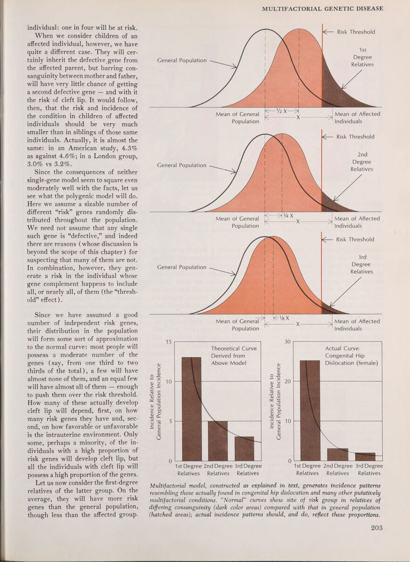 MULTIFACTORIAL GENETIC DISEASE individual: one in four will be at risk. When we consider children of an affected individual, however, we have quite a different case. They will cer¬ tainly inherit the defective gene from the affected parent, but barring con¬ sanguinity between mother and father, will have very little chance of getting a second defective gene — and with it the risk of cleft lip. It would follow, then, that the risk and incidence of the condition in children of affected individuals should be very much smaller than in siblings of those same individuals. Actually, it is almost the same: in an American study, 4.3% as against 4.6%; in a London group, 3.0% vs 3.2%. Since the consequences of neither single-gene model seem to square even moderately well with the facts, let us see what the polygenic model will do. Here we assume a sizable number of different risk genes randomly dis¬ tributed throughout the population. We need not assume that any single such gene is defective, and indeed there are reasons (whose discussion is beyond the scope of this chapter) for suspecting that many of them are not. In combination, however, they gen¬ erate a risk in the individual whose gene complement happens to include all, or nearly all, of them (the thresh¬ old effect). Since we have assumed a good number of independent risk genes, their distribution in the population will form some sort of approximation to the normal curve: most people will possess a moderate number of the genes (say, from one third to two thirds of the total), a few will have almost none of them, and an equal few will have almost all of them — enough to push them over the risk threshold. How many of these actually develop cleft lip will depend, first, on how many risk genes they have and, sec¬ ond, on how favorable or unfavorable is the intrauterine environment. Only some, perhaps a minority, of the in¬ dividuals with a high proportion of risk genes will develop cleft lip, but all the individuals with cleft lip will possess a high proportion of the genes. Let us now consider the first-degree relatives of the latter group. On the average, they will have more risk genes than the general population, though less than the affected group. General Population Risk Threshold Ist Degree Relatives Mean of General Population Mean of Affected Individuals 15 si 10 « 5 0) .9. (U 3 a о O- u Theoretical Curve Derived from Above Model и TO (Í) и m 1st Degree 2nd Degree 3rd Degree Relatives Relatives Relatives 30 о -a ¡3 20 -!5 5 0) iä SI -s- ■Ö « 10 — ï с Ol о 1st Degree 2nd Degree 3rd Degree Relatives Relatives Relatives Multifactorial model, constructed as explained in text, generates incidence patterns resembling those actually found in congenital hip dislocation and many other putatively multifactorial conditions. Normal curves show size of risk group in relatives of differing consanguinity (dark color areas) compared with that in general population (hatched areas); actual incidence patterns should, and do, reflect these proportions. 203