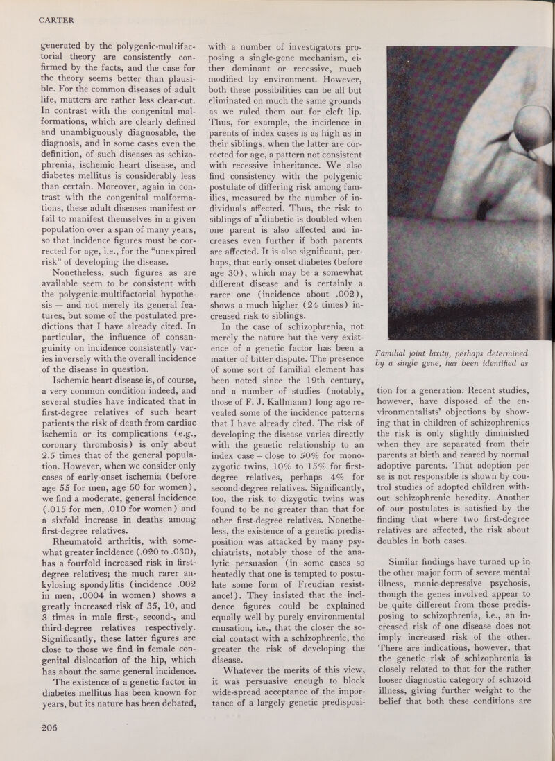 CARTER generated by the polygenic-multifac¬ torial theory are consistently con¬ firmed by the facts, and the case for the theory seems better than plausi¬ ble. For the common diseases of adult life, matters are rather less clear-cut. In contrast with the congenital mal¬ formations, which are clearly defined and unambiguously diagnosable, the diagnosis, and in some cases even the definition, of such diseases as schizo¬ phrenia, ischemic heart disease, and diabetes mellitus is considerably less than certain. Moreover, again in con¬ trast with the congenital malforma¬ tions, these adult diseases manifest or fail to manifest themselves in a given population over a span of many years, so that incidence figures must be cor¬ rected for age, i.e., for the unexpired risk of developing the disease. Nonetheless, such figures as are available seem to be consistent with the polygenic-multifactorial hypothe¬ sis — and not merely its general fea¬ tures, but some of the postulated pre¬ dictions that I have already cited. In particular, the influence of consan¬ guinity on incidence consistently var¬ ies inversely with the overall incidence of the disease in question. Ischemic heart disease is, of course, a very common condition indeed, and several studies have indicated that in first-degree relatives of such heart patients the risk of death from cardiac ischemia or its complications (e.g., coronary thrombosis) is only about 2.5 times that of the general popula¬ tion. However, when we consider only cases of early-onset ischemia (before age 55 for men, age 60 for women), we find a moderate, general incidence (.015 for men, .010 for women) and a sixfold increase in deaths among first-degree relatives. Rheumatoid arthritis, with some¬ what greater incidence (.020 to .030), has a fourfold increased risk in first- degree relatives; the much rarer an¬ kylosing spondylitis (incidence .002 in men, .0004 in women) shows a greatly increased risk of 35, 10, and 3 times in male first-, second-, and third-degree relatives respectively. Significantly, these latter figures are close to those we find in female con¬ genital dislocation of the hip, which has about the same general incidence. The existence of a genetic factor in diabetes mellitus has been known for years, but its nature has been debated. with a number of investigators pro¬ posing a single-gene mechanism, ei¬ ther dominant or recessive, much modified by environment. However, both these possibilities can be all but eliminated on much the same grounds as we ruled them out for cleft lip. Thus, for example, the incidence in parents of index cases is as high as in their siblings, when the latter are cor¬ rected for age, a pattern not consistent with recessive inheritance. We also find consistency with the polygenic postulate of differing risk among fam¬ ilies, measured by the number of in¬ dividuals afi'ected. Thus, the risk to siblings of a'diabetic is doubled when one parent is also affected and in¬ creases even further if both parents are affected. It is also significant, per¬ haps, that early-onset diabetes (before age 30 ), which may be a somewhat different disease and is certainly a rarer one (incidence about .002), shows a much higher (24 times) in¬ creased risk to siblings. In the case of schizophrenia, not merely the nature but the very exist¬ ence of a genetic factor has been a matter of bitter dispute. The presence of some sort of familial element has been noted since the 19th century, and a number of studies (notably, those of F. J. Kallmann ) long ago re¬ vealed some of the incidence patterns that I have already cited. The risk of developing the disease varies directly with the genetic relationship to an index case — close to 50% for mono¬ zygotic twins, 10% to 15% for first- degree relatives, perhaps 4% for second-degree relatives. Significantly, too, the risk to dizygotic twins was found to be no greater than that for other first-degree relatives. Nonethe¬ less, the existence of a genetic predis¬ position was attacked by many psy¬ chiatrists, notably those of the ana¬ lytic persuasion (in some çases so heatedly that one is tempted to postu¬ late some form of Freudian resist¬ ance!). They insisted that the inci¬ dence figures could be explained equally well by purely environmental causation, i.e., that the closer the so¬ cial contact with a schizophrenic, the greater the risk of developing the disease. Whatever the merits of this view, it was persuasive enough to block wide-spread acceptance of the impor¬ tance of a largely genetic predisposi¬ Familial joint laxity, perhaps determined by a single gene, has been identified as tion for a generation. Recent studies, however, have disposed of the en¬ vironmentalists' objections by show¬ ing that in children of schizophrenics the risk is only slightly diminished when they are separated from their parents at birth and reared by normal adoptive parents. That adoption per se is not responsible is shown by con¬ trol studies of adopted children with¬ out schizophrenic heredity. Another of our postulates is satisfied by the finding that where two first-degree relatives are affected, the risk about doubles in both cases. Similar findings have turned up in the other major form of severe mental illness, manic-depressive psychosis, though the genes involved appear to be quite different from those predis¬ posing to schizophrenia, i.e., an in¬ creased risk of one disease does not imply increased risk of the other. There are indications, however, that the genetic risk of schizophrenia is closely related to that for the rather looser diagnostic category of schizoid illness, giving further weight to the belief that both these conditions are 206