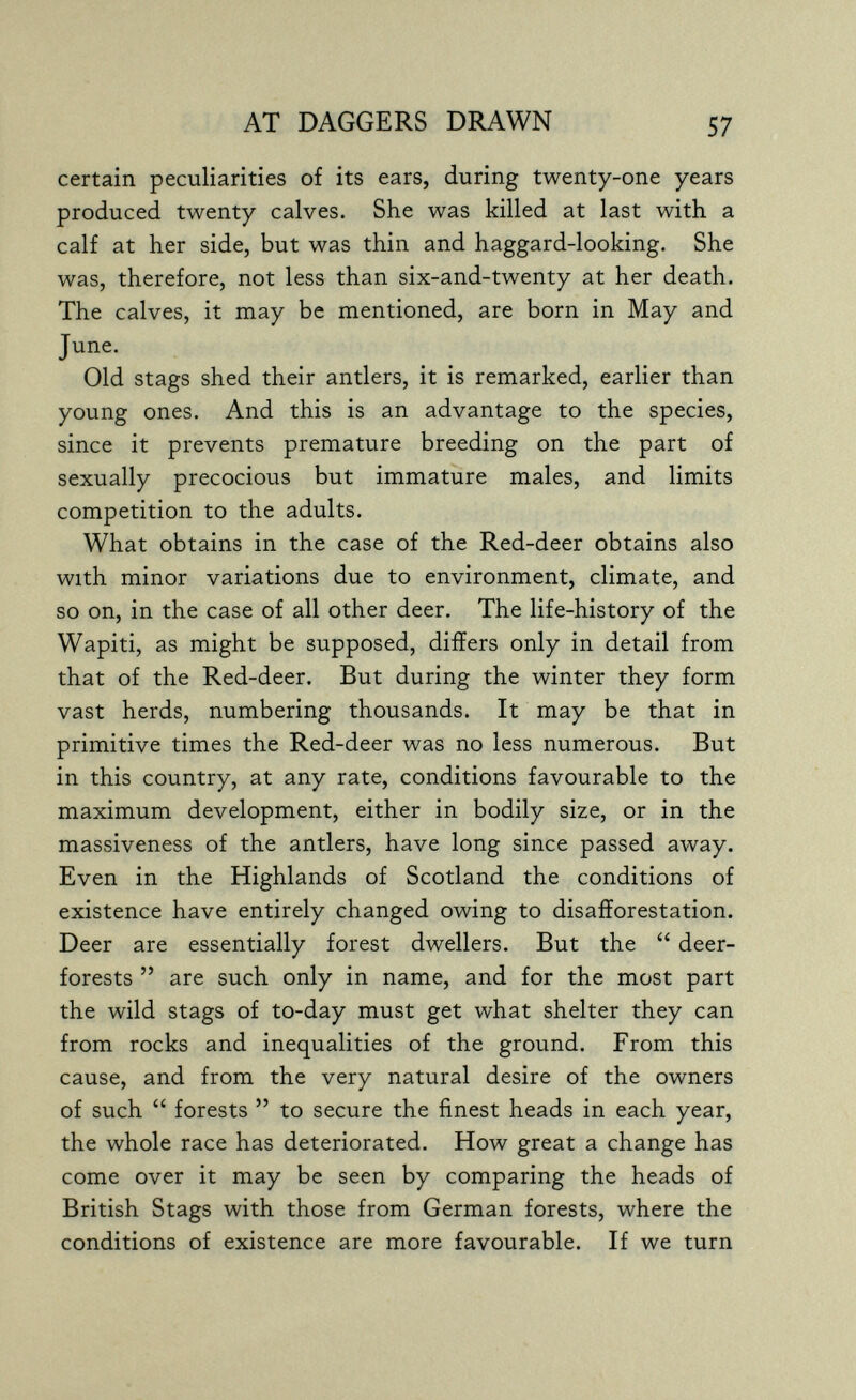 AT DAGGERS DRAWN 57 certain peculiarities of its ears, during twenty-one years produced twenty calves. She was killed at last with a calf at her side, but was thin and haggard-looking. She was, therefore, not less than six-and-twenty at her death. The calves, it may be mentioned, are born in May and June. Old stags shed their antlers, it is remarked, earlier than young ones. And this is an advantage to the species, since it prevents premature breeding on the part of sexually precocious but immature males, and limits competition to the adults. What obtains in the case of the Red-deer obtains also with minor variations due to environment, climate, and so on, in the case of all other deer. The life-history of the Wapiti, as might be supposed, differs only in detail from that of the Red-deer. But during the winter they form vast herds, numbering thousands. It may be that in primitive times the Red-deer was no less numerous. But in this country, at any rate, conditions favourable to the maximum development, either in bodily size, or in the massiveness of the antlers, have long since passed away. Even in the Highlands of Scotland the conditions of existence have entirely changed owing to disafïorestation. Deer are essentially forest dwellers. But the  deer- forests  are such only in name, and for the most part the wild stags of to-day must get what shelter they can from rocks and inequalities of the ground. From this cause, and from the very natural desire of the owners of such  forests  to secure the finest heads in each year, the whole race has deteriorated. How great a change has come over it may be seen by comparing the heads of British Stags with those from German forests, where the conditions of existence are more favourable. If we turn