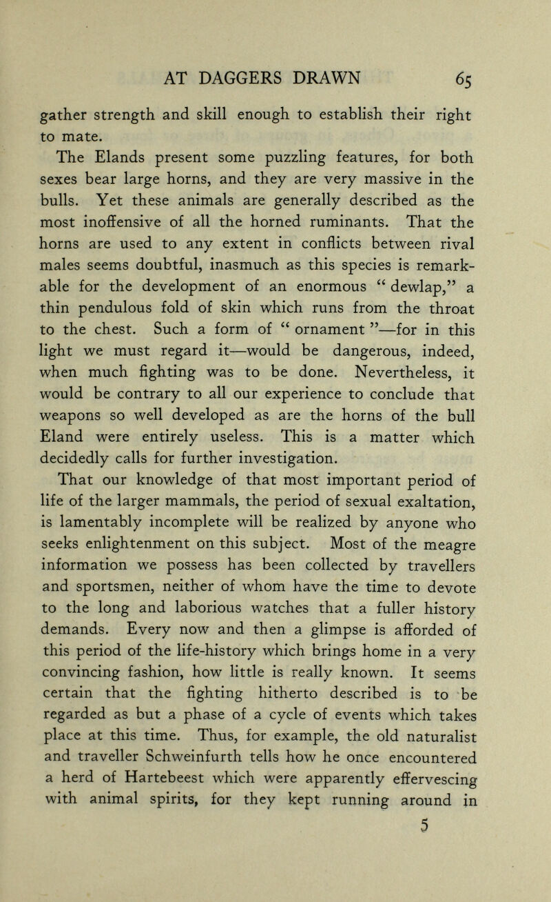 AT DAGGERS DRAWN 65 gather strength and skill enough to establish their right to mate. The Elands present some puzzling features, for both sexes bear large horns, and they are very massive in the bulls. Yet these animals are generally described as the most inoffensive of all the horned ruminants. That the horns are used to any extent in conflicts between rival males seems doubtful, inasmuch as this species is remark¬ able for the development of an enormous  dewlap, a thin pendulous fold of skin which runs from the throat to the chest. Such a form of  ornament —for in this light we must regard it—would be dangerous, indeed, when much fighting was to be done. Nevertheless, it would be contrary to all our experience to conclude that weapons so well developed as are the horns of the bull Eland were entirely useless. This is a matter which decidedly calls for further investigation. That our knowledge of that most important period of life of the larger mammals, the period of sexual exaltation, is lamentably incomplete will be realized by anyone who seeks enlightenment on this subject. Most of the meagre information we possess has been collected by travellers and sportsmen, neither of whom have the time to devote to the long and laborious watches that a fuller history demands. Every now and then a glimpse is afforded of this period of the life-history which brings home in a very convincing fashion, how little is really known. It seems certain that the fighting hitherto described is to be regarded as but a phase of a cycle of events which takes place at this time. Thus, for example, the old naturalist and traveller Schweinfurth tells how he once encountered a herd of Hartebeest which were apparently effervescing with animal spirits, for they kept running around in 5
