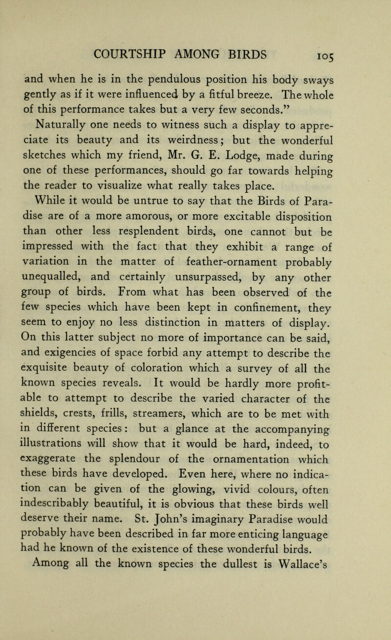 COURTSHIP AMONG BIRDS and when he is in the pendulous position his body sways gently as if it were influenced by a fitful breeze. The whole of this performance takes but a very few seconds. Naturally one needs to witness such a display to appre¬ ciate its beauty and its weirdness ; but the wonderful sketches which my friend, Mr. G. E. Lodge, made during one of these performances, should go far towards helping the reader to visualize what really takes place. While it would be untrue to say that the Birds of Para¬ dise are of a more amorous, or more excitable disposition than other less resplendent birds, one cannot but be impressed with the fact that they exhibit a range of variation in the matter of feather-ornament probably unequalled, and certainly unsurpassed, by any other group of birds. From what has been observed of the few species which have been kept in confinement, they seem to enjoy no less distinction in matters of display. On this latter subject no more of importance can be said, and exigencies of space forbid any attempt to describe the exquisite beauty of coloration which a survey of all the known species reveals. It would be hardly more profit¬ able to attempt to describe the varied character of the shields, crests, frills, streamers, which are to be met with in different species : but a glance at the accompanying illustrations will show that it would be hard, indeed, to exaggerate the splendour of the ornamentation which these birds have developed. Even here, where no indica¬ tion can be given of the glowing, vivid colours, often indescribably beautiful, it is obvious that these birds well deserve their name. St. John's imaginary Paradise would probably have been described in far more enticing language had he known of the existence of these wonderful birds. Among all the known species the dullest is Wallace's