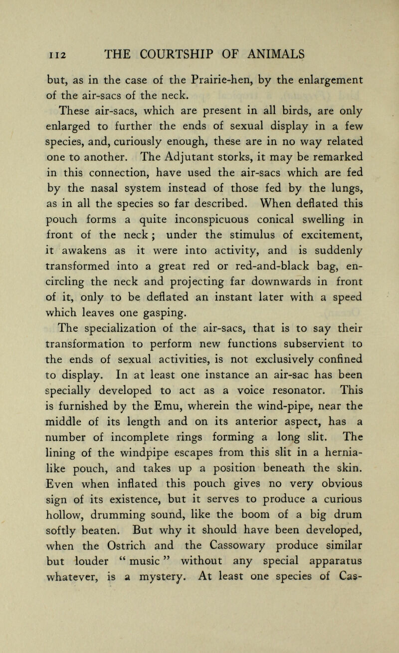 112 THE COURTSHIP OF ANIMALS but, as in the case of the Prairie-hen, by the enlargement of the air-sacs of the neck. These air-sacs, which are present in all birds, are only enlarged to further the ends of sexual display in a few species, and, curiously enough, these are in no way related one to another. The Adjutant storks, it may be remarked in this connection, have used the air-sacs which are fed by the nasal system instead of those fed by the lungs, as in all the species so far described. When deflated this pouch forms a quite inconspicuous conical swelling in front of the neck ; under the stimulus of excitement, it awakens as it were into activity, and is suddenly transformed into a great red or red-and-black bag, en¬ circling the neck and projecting far downwards in front of it, only to be deflated an instant later with a speed which leaves one gasping. The specialization of the air-sacs, that is to say their transformation to perform new functions subservient to the ends of sexual activities, is not exclusively confined to display. In at least one instance an air-sac has been specially developed to act as a voice resonator. This is furnished by the Emu, wherein the wind-pipe, near the middle of its length and on its anterior aspect, has a number of incomplete rings forming a long slit. The lining of the windpipe escapes from this slit in a hernia¬ like pouch, and takes up a position beneath the skin. Even when inflated this pouch gives no very obvious sign of its existence, but it serves to produce a curious hollow, drumming sound, like the boom of a big drum softly beaten. But why it should have been developed, when the Ostrich and the Cassowary produce similar but louder  music  without any special apparatus whatever, is a mystery. At least one species of Cas-