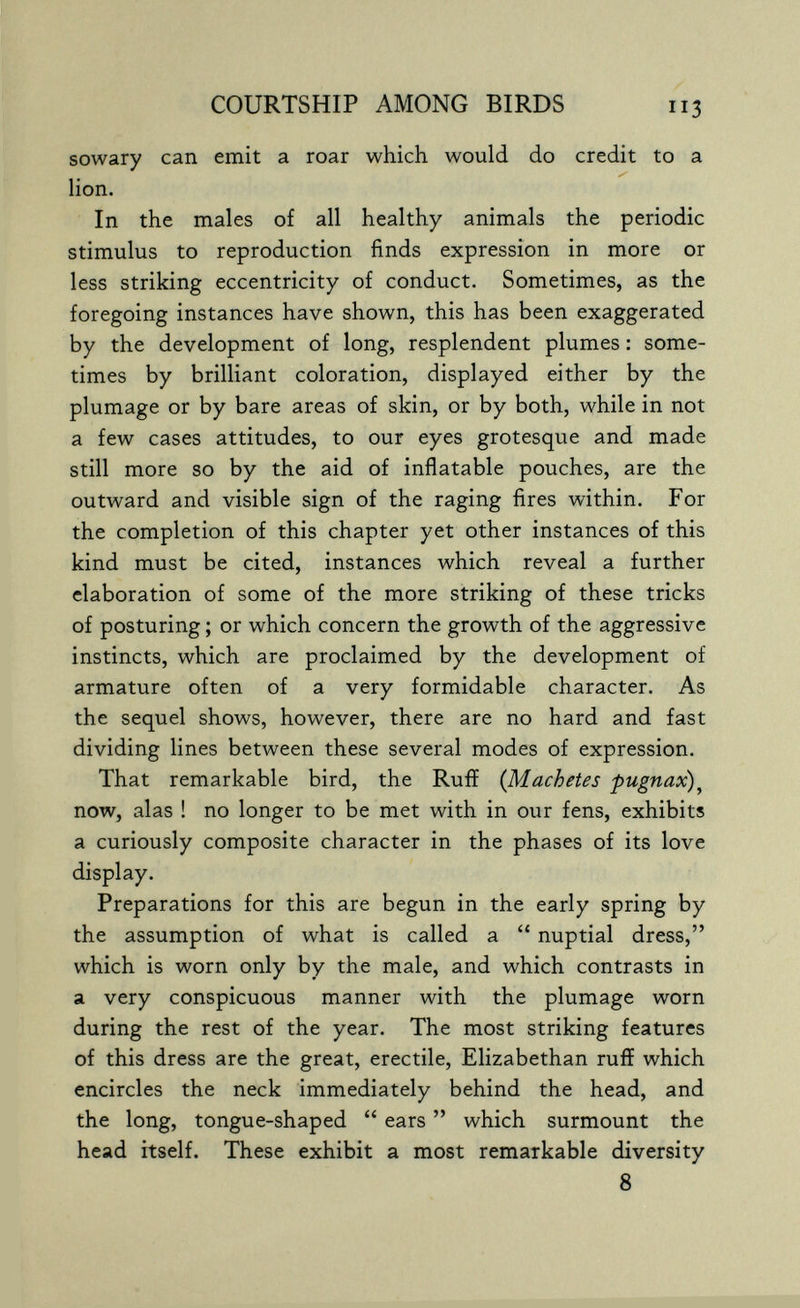 COURTSHIP AMONG BIRDS 113 sowary can emit a roar which would do credit to a lion. In the males of all healthy animals the periodic stimulus to reproduction finds expression in more or less striking eccentricity of conduct. Sometimes, as the foregoing instances have shown, this has been exaggerated by the development of long, resplendent plumes : some¬ times by brilliant coloration, displayed either by the plumage or by bare areas of skin, or by both, while in not a few cases attitudes, to our eyes grotesque and made still more so by the aid of inflatable pouches, are the outward and visible sign of the raging fires within. For the completion of this chapter yet other instances of this kind must be cited, instances which reveal a further elaboration of some of the more striking of these tricks of posturing ; or which concern the growth of the aggressive instincts, which are proclaimed by the development of armature often of a very formidable character. As the sequel shows, however, there are no hard and fast dividing lines between these several modes of expression. That remarkable bird, the Ruff {Machetes pugnax)^ now, alas ! no longer to be met with in our fens, exhibits a curiously composite character in the phases of its love display. Preparations for this are begun in the early spring by the assumption of what is called a  nuptial dress, which is worn only by the male, and which contrasts in a very conspicuous manner with the plumage worn during the rest of the year. The most striking features of this dress are the great, erectile, Elizabethan ruff which encircles the neck immediately behind the head, and the long, tongue-shaped  ears  which surmount the head itself. These exhibit a most remarkable diversity 8