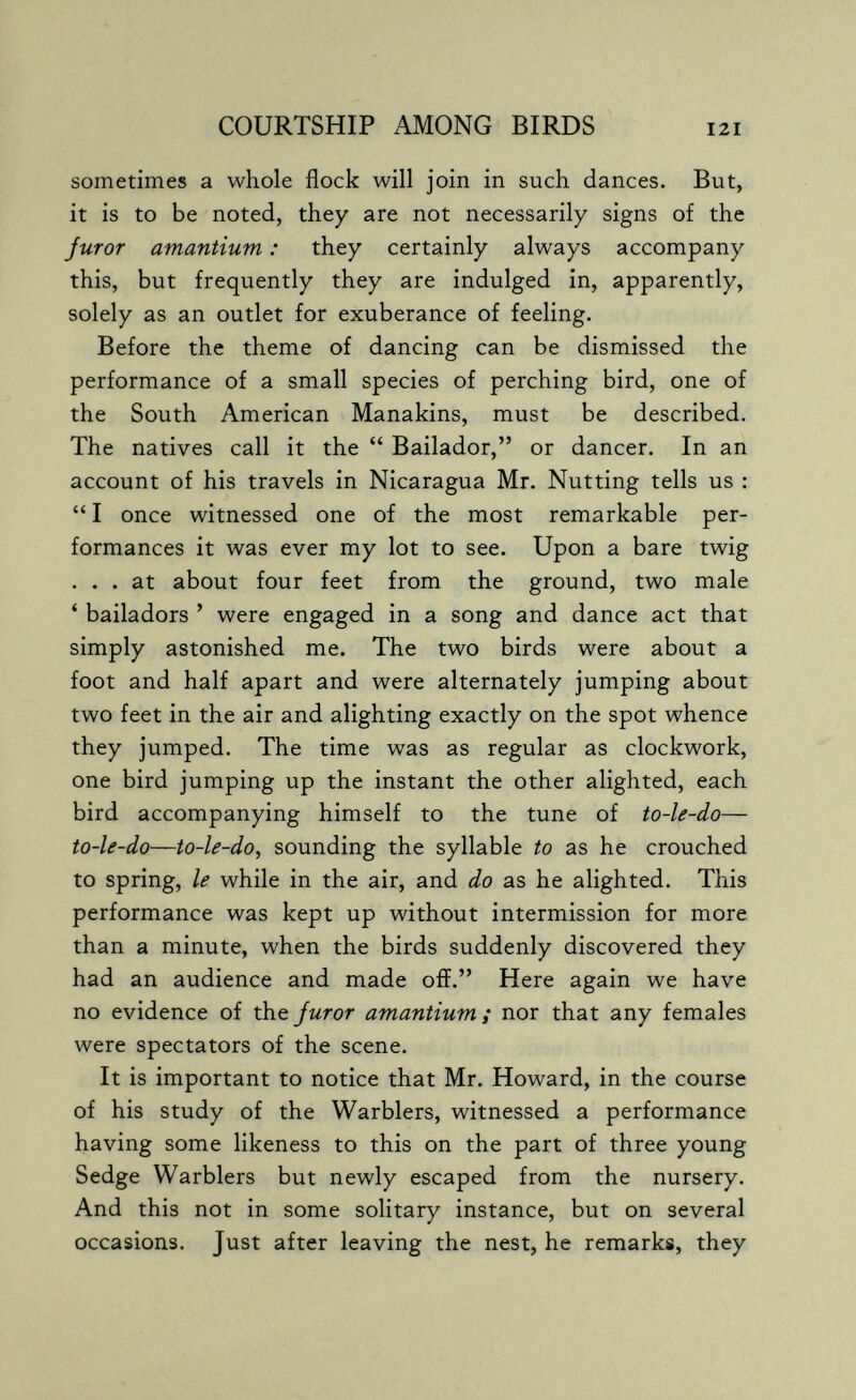 COURTSHIP AMONG BIRDS sometimes a whole flock will join in such dances. But, it is to be noted, they are not necessarily signs of the Juror amantium : they certainly always accompany this, but frequently they are indulged in, apparently, solely as an outlet for exuberance of feeling. Before the theme of dancing can be dismissed the performance of a small species of perching bird, one of the South American Manakins, must be described. The natives call it the  Bailador, or dancer. In an account of his travels in Nicaragua Mr. Nutting tells us :  I once witnessed one of the most remarkable per¬ formances it was ever my lot to see. Upon a bare twig ... at about four feet from the ground, two male ' bailadors ' were engaged in a song and dance act that simply astonished me. The two birds were about a foot and half apart and were alternately jumping about two feet in the air and alighting exactly on the spot whence they jumped. The time was as regular as clockwork, one bird jumping up the instant the other alighted, each bird accompanying himself to the tune of to-le-do— to-le-do—to-le-do, sounding the syllable to as he crouched to spring, le while in the air, and do as he alighted. This performance was kept up without intermission for more than a minute, when the birds suddenly discovered they had an audience and made off. Here again we have no evidence of the Juror amantium; nor that any females were spectators of the scene. It is important to notice that Mr. Howard, in the course of his study of the Warblers, witnessed a performance having some likeness to this on the part of three young Sedge Warblers but newly escaped from the nursery. And this not in some solitary instance, but on several occasions. Just after leaving the nest, he remarks, they