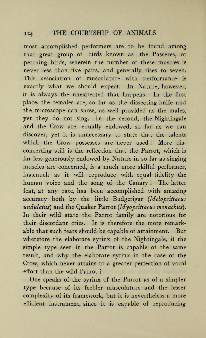 124 THE COURTSHIP OF ANIMALS most accomplished performers are to be found among that great group of birds known as the Passeres, or perching birds, wherein the number of these muscles is never less than five pairs, and generally rises to seven. This association of musculature with performance is exactly what we should expect. In Nature, however, it is always the unexpected that happens. In the first place, the females are, so far as the dissecting-knife and the microscope can show, as well provided as the males, yet they do not sing. In the second, the Nightingale and the Crow are equally endowed, so far as we can discover, yet it is unnecessary to state that the talents which the Crow possesses are never used ! More dis¬ concerting still is the reflection that the Parrot, which is far less generously endowed by Nature in so far as singing muscles are concerned, is a much more skilful performer, inasmuch as it will reproduce with equal fidelity the human voice and the song of the Canary ! The latter feat, at any rate, has been accomplished with amazing accuracy both by the little Budgerigar {Melopsittacus undulatus) and the Quaker Parrot {Myopsittacus monachus). In their wild state the Parrot family are notorious for their discordant cries. It is therefore the more remark¬ able that such feats should be capable of attainment. But wherefore the elaborate syrinx of the Nightingale, if the simple type seen in the Parrot is capable of the same result, and why the elaborate syrinx in the case of the Crow, which never attains to a greater perfection of vocal effort than the wild Parrot ? One speaks of the syrinx of the Parrot as of a simpler type because of its feebler musculature and the lesser complexity of its framework, but it is nevertheless a more efficient instrument, since it is capable of reproducing