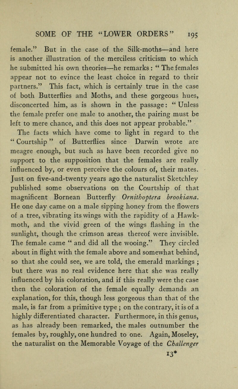 SOME OF THE LOWER ORDERS 195 female. But in the case of the Silk-moths—and here is another illustration of the merciless criticism to which he submitted his own theories—he remarks :  The females appear not to evince the least choice in regard to their partners. This fact, which is certainly true in the case of both Butterflies and Moths, and these gorgeous hues, disconcerted him, as is shown in the passage :  Unless the female prefer one male to another, the pairing must be left to mere chance, and this does not appear probable. The facts which have come to light in regard to the  Courtship  of Butterflies since Darwin wrote are meagre enough, but such as have been recorded give no support to the supposition that the females are really influenced by, or even perceive the colours of, their mates. Just on five-and-twenty years ago the naturalist Sketchley published some observations on the Courtship of that magnificent Bornean Butterfly Ornithoptera brookiana. He one day came on a male sipping honey from the flowers of a tree, vibrating its wings with the rapidity of a Hawk- moth, and the vivid green of the wings flashing in the sunlight, though the crimson areas thereof were invisible. The female came  and did all the wooing. They circled about in flight with the female above and somewhat behind, so that she could see, we are told, the emerald markings ; but there was no real evidence here that she was really influenced by his coloration, and if this really were thç case then the coloration of the female equally demands an explanation, for this, though less gorgeous than that of the male, is far from a primitive type ; on the contrary, it is of a highly differentiated character. Furthermore, in this genus, as has already been remarked, the males outnumber the females by, roughly, one hundred to one. Again, Moseley, the naturalist on the Memorable Voyage of the Challenger 13*