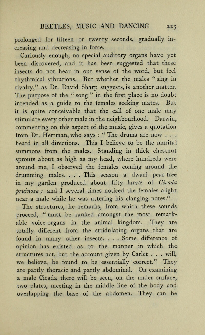 BEETLES, MUSIC AND DANCING 223 prolonged for fifteen or twenty seconds, gradually in¬ creasing and decreasing in force. Curiously enough, no special auditory organs have yet been discovered, and it has been suggested that these insects do not hear in our sense of the word, but feel rhythmical vibrations. But whether the males sing in rivalry, as Dr. David Sharp suggests, is another matter. The purpose of the  song  in the first place is no doubt intended as a guide to the females seeking mates. But it is quite conceivable that the call of one male may stimulate every other male in the neighbourhood. Darwin, commenting on this aspect of the music, gives a quotation from Dr. Hertman, who says :  The drums are now . . . heard in all directions. This I believe to be the marital summons from the males. Standing in thick chestnut sprouts about as high as my head, where hundreds were around me, I observed the females coming around the drumming males. . . . This season a dwarf pear-tree in my garden produced about fifty larvse of Cicada pruinosa ; and I several times noticed the females alight near a male while he was uttering his clanging notes. The structures, he remarks, from which these sounds proceed,  must be ranked amongst the most remark¬ able voice-organs in the animal kingdom. They are totally different from the stridulating organs that are found in many other insects. . . . Some difference of opinion has existed as to the manner in which the structures act, but the account given by Carlet . . . will, we believe, be found to be essentially correct. They are partly thoracic and partly abdominal. On examining a male Cicada there will be seen, on the under surface, two plates, meeting in the middle line of the body and overlapping the base of the abdomen. They can be