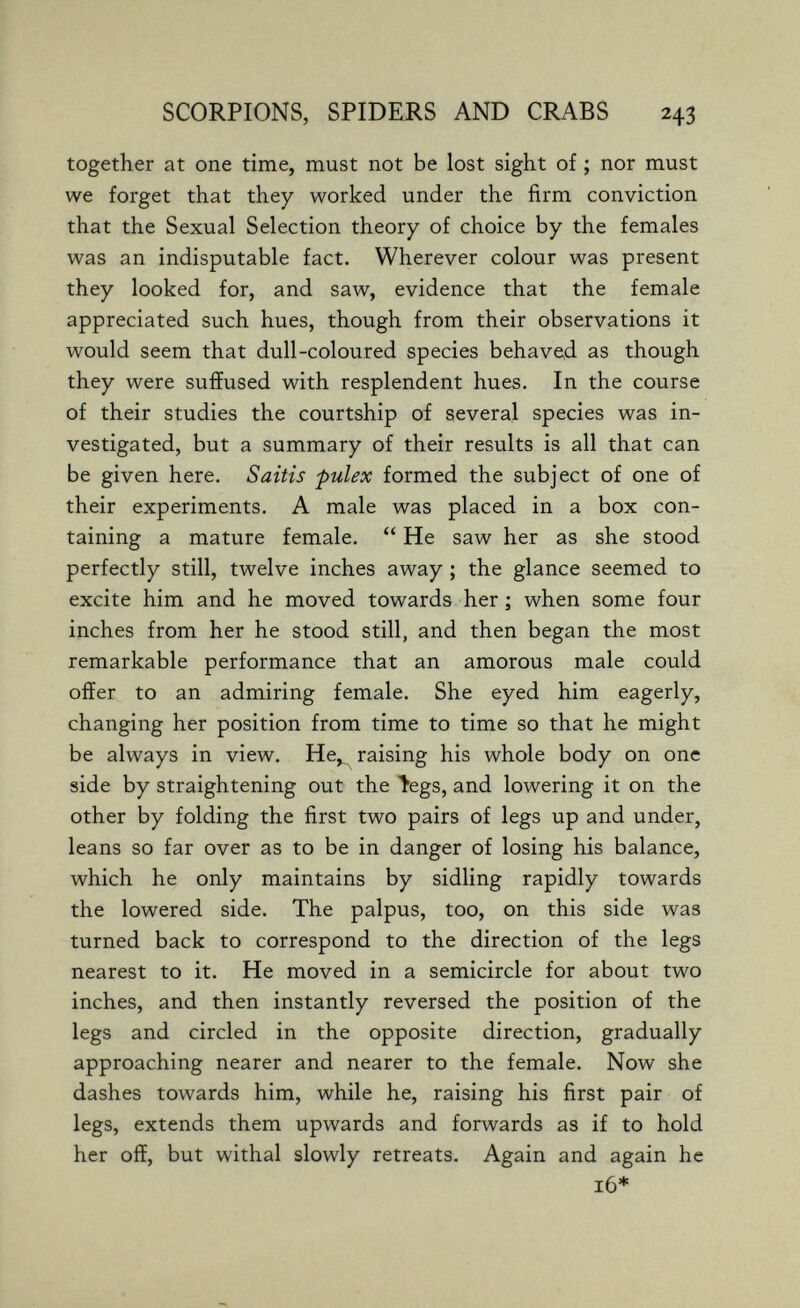 SCORPIONS, SPIDERS AND CRABS 243 together at one time, must not be lost sight of ; nor must we forget that they worked under the firm conviction that the Sexual Selection theory of choice by the females was an indisputable fact. Wherever colour was present they looked for, and saw, evidence that the female appreciated such hues, though from their observations it would seem that dull-coloured species behave^d as though they were suffused with resplendent hues. In the course of their studies the courtship of several species was in¬ vestigated, but a summary of their results is all that can be given here. Saitis pulex formed the subject of one of their experiments. A male was placed in a box con¬ taining a mature female.  He saw her as she stood perfectly still, twelve inches away ; the glance seemed to excite him and he moved towards her ; when some four inches from her he stood still, and then began the most remarkable performance that an amorous male could offer to an admiring female. She eyed him eagerly, changing her position from time to time so that he might be always in view. He,_ raising his whole body on one side by straightening out the iegs, and lowering it on the other by folding the first two pairs of legs up and under, leans so far over as to be in danger of losing his balance, which he only maintains by sidling rapidly towards the lowered side. The palpus, too, on this side was turned back to correspond to the direction of the legs nearest to it. He moved in a semicircle for about two inches, and then instantly reversed the position of the legs and circled in the opposite direction, gradually approaching nearer and nearer to the female. Now she dashes towards him, while he, raising his first pair of legs, extends them upwards and forwards as if to hold her off, but withal slowly retreats. Again and again he 16*