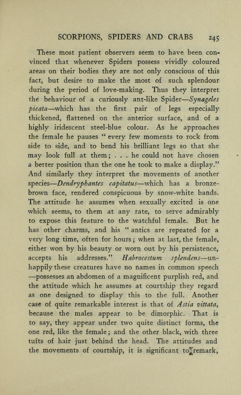 SCORPIONS, SPIDERS AND CRABS 245 These most patient observers seem to have been con¬ vinced that whenever Spiders possess vividly coloured areas on their bodies they are not only conscious of this fact, but desire to make the most of such splendour during the period of love-making. Thus they interpret the behaviour of a curiously ant-like Spider—Synageles picata—which has the first pair of legs especially thickened, flattened on the anterior surface, and of a highly iridescent steel-blue colour. As he approaches the female he pauses  every few moments to rock from side to side, and to bend his brilliant legs so that she may look full at them ; ... he could not have chosen a better position than the one he took to make a display. And similarly they interpret the movements of another species—Dendryphantes capitatus—which has a bronze- brown face, rendered conspicuous by snow-white bands. The attitude he assumes when sexually excited is one which seems, to them at any rate, to serve admirably to expose this feature to the watchful female. But he has other charms, and his  antics are repeated for a very long time, often for hours ; when at last, the female, either won by his beauty or worn out by his persistence, accepts his addresses. Habrocestum splendens—un¬ happily these creatures have no names in common speech —possesses an abdomen of a magnificent purplish red, and the attitude which he assumes at courtship they regard as one designed to display this to the full. Another case of quite remarkable interest is that of Astia vittata, because the males appear to be dimorphic. That is to say, they appear under two quite distinct forms, the one red, like the female ; and the other black, with three tufts of hair just behind the head. The attitudes and the movements of courtship, it is significant to][remark,