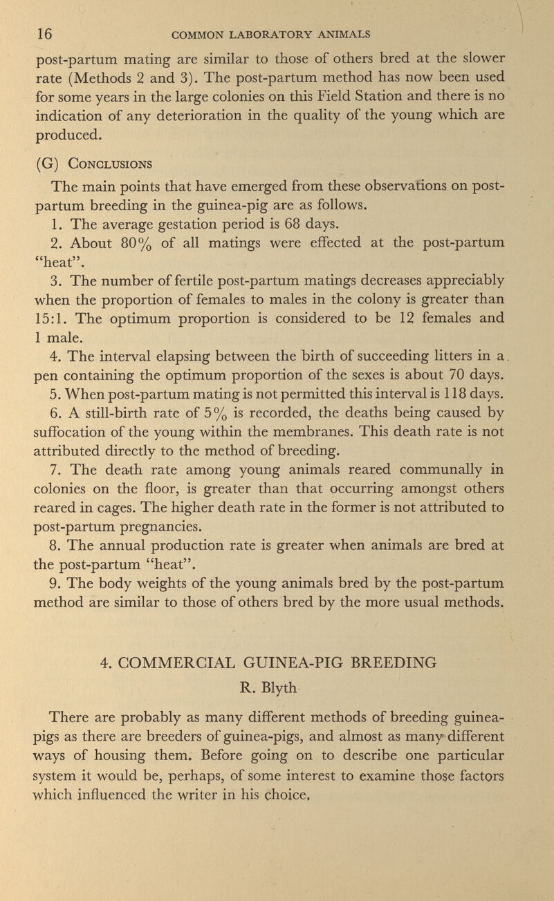 \ ' \ 16 common laboratory animals post-partum mating are similar to those of others bred at the slower rate (Methods 2 and 3). The post-partum method has now been used for some years in the large colonies on this Field Station and there is no indication of any deterioration in the quality of the young which are produced. (G) Conclusions The main points that have emerged from these observations on post¬ partum breeding in the guinea-pig are as follows. 1. The average gestation period is 68 days. 2. About 80% of all matings were effected at the post-partum heat. 3. The number offertile post-partum matings decreases appreciably when the proportion of females to males in the colony is greater than 15:1. The optimum proportion is considered to be 12 females and 1 male. 4. The interval elapsing between the birth of succeeding litters in a. pen containing the optimum proportion of the sexes is about 70 days. 5. When post-partum mating is not permitted this interval is 118 days. 6. A still-birth rate of 5% is recorded, the deaths being caused by suffocation of the young within the membranes. This death rate is not attributed directly to the method of breeding. 7. The death rate among young animals reared communally in colonies on the floor, is greater than that occurring amongst others reared in cages. The higher death rate in the former is not attributed to post-partum pregnancies. 8. The annual production rate is greater when animals are bred at the post-partum heat. 9. The body weights of the young animals bred by the post-partum method are similar to those of others bred by the more usual methods. 4. COMMERCIAL GUINEA-PIG BREEDING R. Blyth There are probably as many different methods of breeding guinea- pigs as there are breeders of guinea-pigs, and almost as many different ways of housing them. Before going on to describe one particular system it would be, perhaps, of some interest to examine those factors which influenced the writer in his choice.