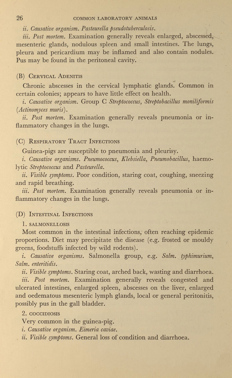26 common laboratory animals и. Causative organism. Pasteurella pseudotuberculosis. Hi. Post mortem. Examination generally reveals enlarged, abscessedy^ mesenteric glands, nodulous spleen and small intestines. The lungs, pleura and pericardium may be inflamed and also contain nodules. Pus may be found in the peritoneal cavity. (B) Cervical Adenitis Chronic abscesses in the cervical lymphatic glands. Common in certain colonies; appears to have little effect on health. i. Causative organism. Group С Streptococcus, Streptobacillus moniliformis [Actinomyces muris). a. Post mortem. Examination generally reveals pneumonia or in¬ flammatory changes in the lungs. (C) Respiratory Tract Infections Guinea-pigs are susceptible to pneumonia and pleurisy. i. Causative organisms. Pneumococcus, Klebsiella, Pneumobacillus, haemo- lytic Streptococcus and Pasteurella. a. Visible symptoms. Poor condition, staring coat, coughing, sneezing and rapid breathing. Hi. Post mortem. Examination generally reveals pneumonia or in¬ flammatory changes in the lungs. (D) Intestinal Infections 1. salmonellosis Most common in the intestinal infections, often reaching epidemic proportions. Diet may precipitate the disease (e.g. frosted or mouldy greens, foodstuffs infected by wild rodents). 1. Causative organisms. Salmonella group, e.g. Salm. typhimurium, Salm. enteritidis. a. Visible symptoms. Staring coat, arched back, wasting and diarrhoea. Hi. Post mortem. Examination generally reveals congested and ulcerated intestines, enlarged spleen, abscesses on the liver, enlarged and oedematous mesenteric lymph glands, local or general peritonitis, possibly pus in the gall bladder. 2. coccidiosis Very common in the guinea-pig. i. Causative organism. Eimeria caviae. , a. Visible symptoms. General loss of condition and diarrhoea.