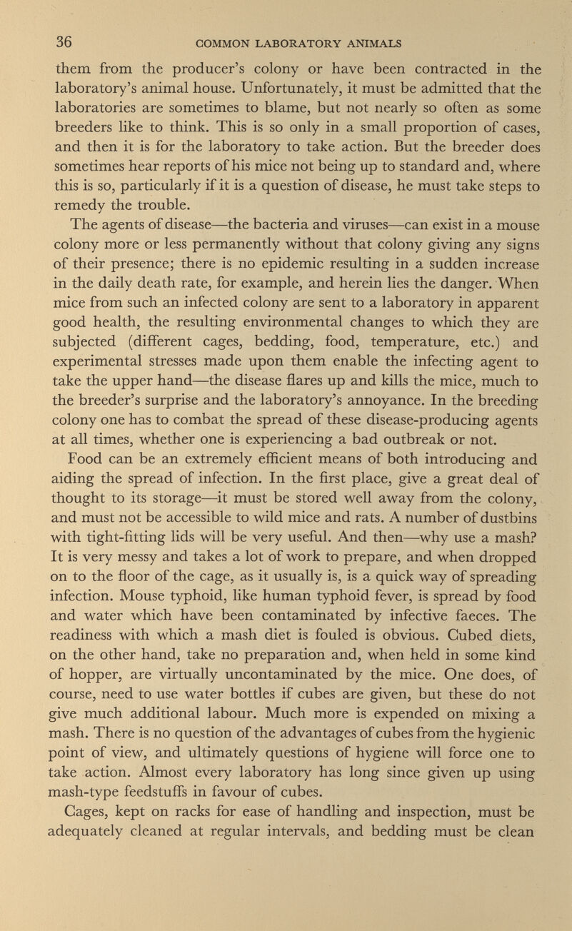 36 COMMON LABORATORY ANIMALS them from the producer's colony or have been contracted in the laboratory's animal house. Unfortunately, it must be admitted that the laboratories are sometimes to blame, but not nearly so often as some breeders like to think. This is so only in a small proportion of cases, and then it is for the laboratory to take action. But the breeder does sometimes hear reports of his mice not being up to standard and, where this is so, particularly if it is a question of disease, he must take steps to remedy the trouble. The agents of disease—the bacteria and viruses—can exist in a mouse colony more or less permanently without that colony giving any signs of their presence; there is no epidemic resulting in a sudden increase in the daily death rate, for example, and herein lies the danger. When mice from such an infected colony are sent to a laboratory in apparent good health, the resulting environmental changes to which they are subjected (different cages, bedding, food, temperature, etc.) and experimental stresses made upon them enable the infecting agent to take the upper hand—the disease flares up and kills the mice, much to the breeder's surprise and the laboratory's annoyance. In the breeding colony one has to combat the spread of these disease-producing agents at all times, whether one is experiencing a bad outbreak or not. Food can be an extremely efficient means of both introducing and aiding the spread of infection. In the first place, give a great deal of thought to its storage—it must be stored well away from the colony, and must not be accessible to wild mice and rats. A number of dustbins with tight-fitting lids will be very useful. And then—why use a mash? It is very messy and takes a lot of work to prepare, and when dropped on to the floor of the cage, as it usually is, is a quick way of spreading infection. Mouse typhoid, like human typhoid fever, is spread by food and water which have been contaminated by infective faeces. The readiness with which a mash diet is fouled is obvious. Cubed diets, on the other hand, take no preparation and, when held in some kind of hopper, are virtually uncontaminated by the mice. One does, of course, need to use water bottles if cubes are given, but these do not give much additional labour. Much more is expended on mixing a mash. There is no question of the advantages of cubes from the hygienic point of view, and ultimately questions of hygiene will force one to take action. Almost every laboratory has long since given up using mash-type feedstuffs in favour of cubes. Gages, kept on racks for ease of handling and inspection, must be adequately cleaned at regular intervals, and bedding must be clean