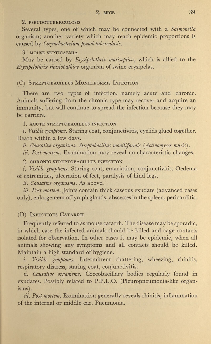 2. mice 39 2. pseudotuberculosis Several types, one of which may be connected with a Salmonella organism; another variety which may reach epidemic proportions is caused by Corynebacterium pseudotuberculosis. 3. mouse septicaemia May be caused by Erysipelothrix muriseptica, which is allied to the Erysipelothrix rhusiopathiae organism of swine erysipelas. (C) Streptobacillus Moniliformis Infection There are two types of infection, namely acute and chronic. Animals suffering from the chronic type may recover and acquire an immunity, but will continue to spread the infection because they may be carriers. 1. acute streptobacillus infection 1. Visible symptoms. Staring coat, conjunctivitis, eyelids glued together. Death within a few days. a. Causative organisms. Streptobacillus moniliformis {Actinomyces maris). Hi. Post mortem. Examination may reveal no characteristic changes. 2. chronic streptobacillus infection i. Visible symptoms. Staring coat, emaciation, conjunctivitis. Oedema of extremities, ulceration of feet, paralysis of hind legs. a. Causative organisms. As above. Hi. Post mortem. Joints contain thick caseous exudate (advanced cases only), enlargement of lymph glands, abscesses in the spleen, pericarditis. (D) Infectious Catarrh Frequently referred to as mouse catarrh. The disease may be sporadic, in which case the infected animals should be killed and cage contacts isolated for observation. In other cases it may be epidemic, when all animals showing any symptoms and all contacts should be killed. Maintain a high standard of hygiene. i. Visible symptoms. Intermittent chattering, wheezing, rhinitis, respiratory distress, staring coat, conjunctivitis. a. Causative organisms. Coccobacillary bodies regularly found in exudates. Possibly related to P.P.L.O. (Pleuropneumonia-like organ¬ isms) . Hi. Post mortem. Examination generally reveals rhinitis, inflammation of the internal or middle ear. Pneumonia.