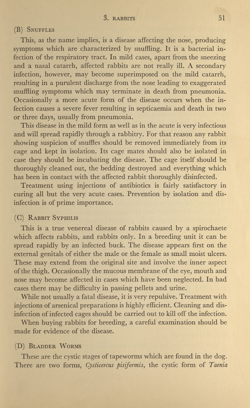 3. rabbits 51 (B) Snuffles This, as the name implies, is a disease affecting the nose, producing symptoms which are characterized by snuffling. It is a bacterial in¬ fection of the respiratory tract. In mild cases, apart from the sneezing and a nasal catarrh, affected rabbits are not really ill. A secondary infection, however, may become superimposed on the mild catarrh, resulting in a purulent discharge from the nose leading to exaggerated snuffling symptoms which may terminate in death from pneumonia. Occasionally a more acute form of the disease occurs when the in¬ fection causes a severe fever resulting in septicaemia and death in two or three days, usually from pneumonia. This disease in the mild form as well as in the acute is very infectious and will spread rapidly through a rabbitry. For that reason any rabbit showing suspicion of snuffles should be removed immediately from its cage and kept in isolation. Its cage mates should also be isolated in case they should be incubating the disease. The cage itself should be thoroughly cleaned out, the bedding destroyed and everything which has been in contact with the affected rabbit thoroughly disinfected. Treatment using injections of antibiotics is fairly satisfactory in curing all but the very acute cases. Prevention by isolation and dis¬ infection is of prime importance. (C) Rabbit Syphilis This is a true venereal disease of rabbits caused by a spirochaete which affects rabbits, and rabbits only. In a breeding unit it can be spread rapidly by an infected buck. The disease appears first on the external genitals of either the male or the female as small moist ulcers. These may extend from the original site and involve the inner aspect of the thigh. Occasionally the mucous membrane of the eye, mouth and nose may become affected in cases which have been neglected. In bad cases there may be difficulty in passing pellets and urine. While not usually a fatal disease, it is very repulsive. Treatment with injections of arsenical preparations is highly efficient. Gleaning and dis¬ infection of infected cages should be carried out to kill off the infection. When buying rabbits for breeding, a careful examination should be made for evidence of the disease. (D) Bladder Worms These are the cystic stages of tapeworms which are found in the dog. There are two forms, Cysticercus pisiformis, the cystic form of Taenia